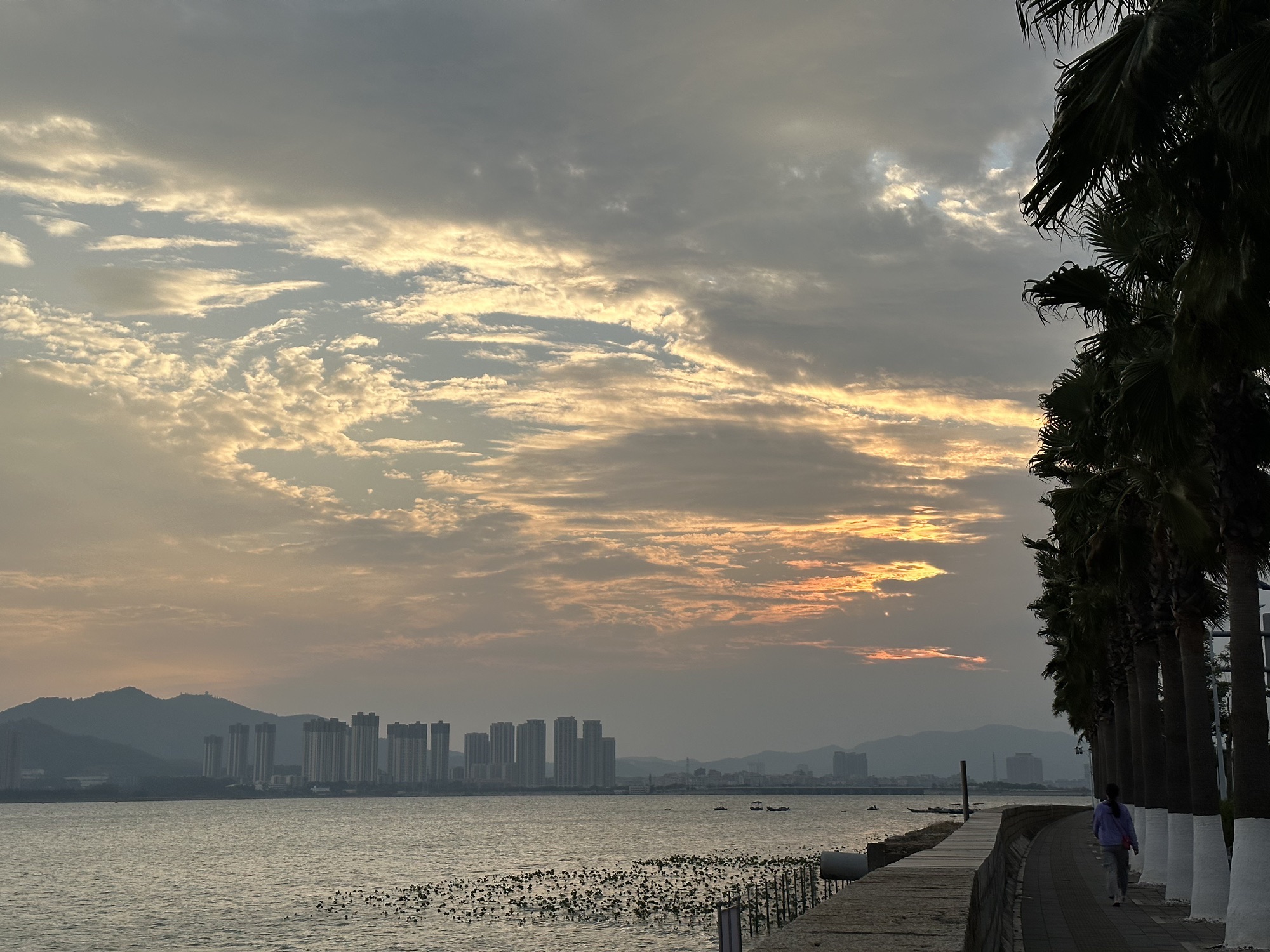 月美池公园旅行图片 3