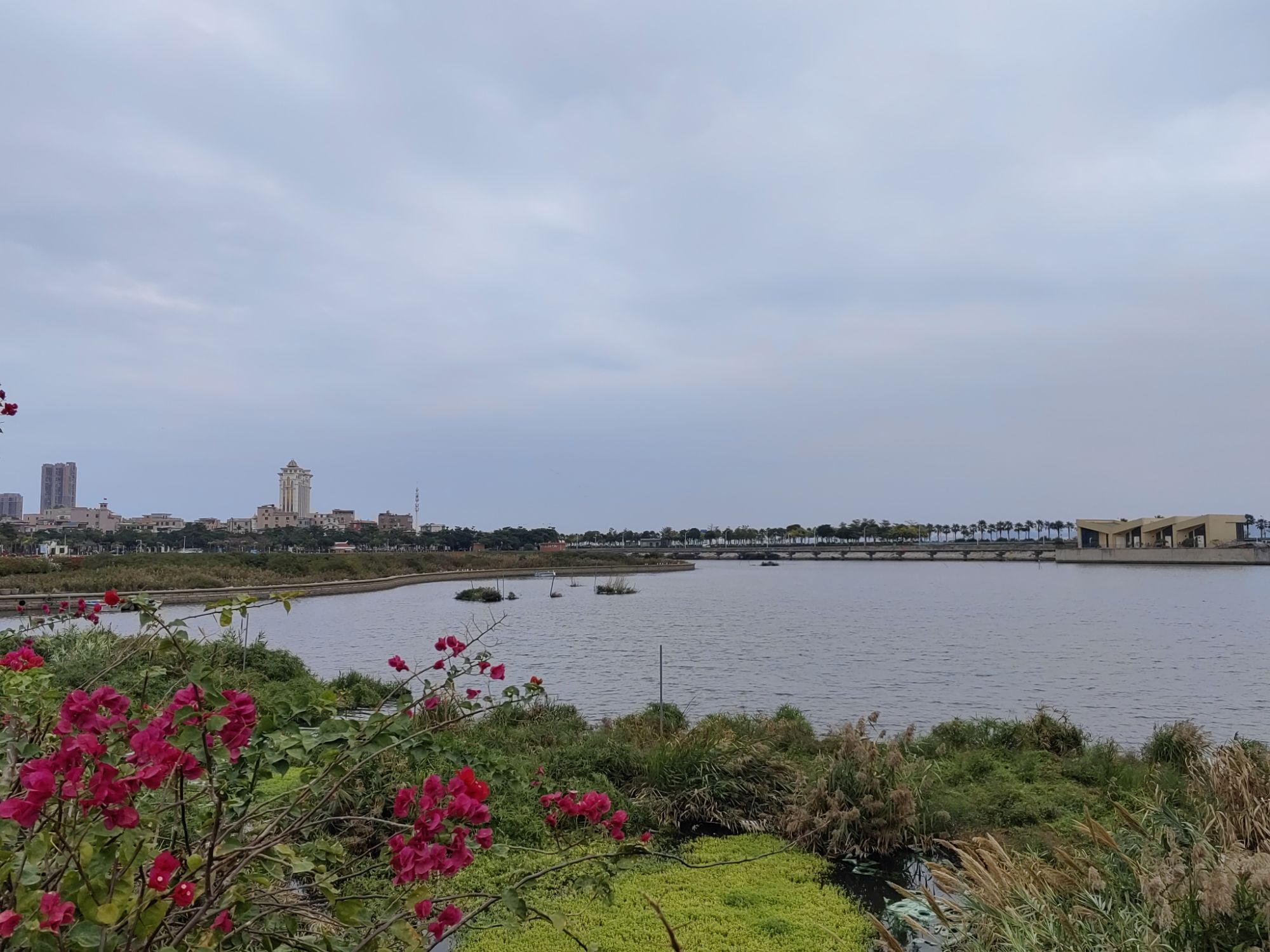 月美池公园旅行图片 3