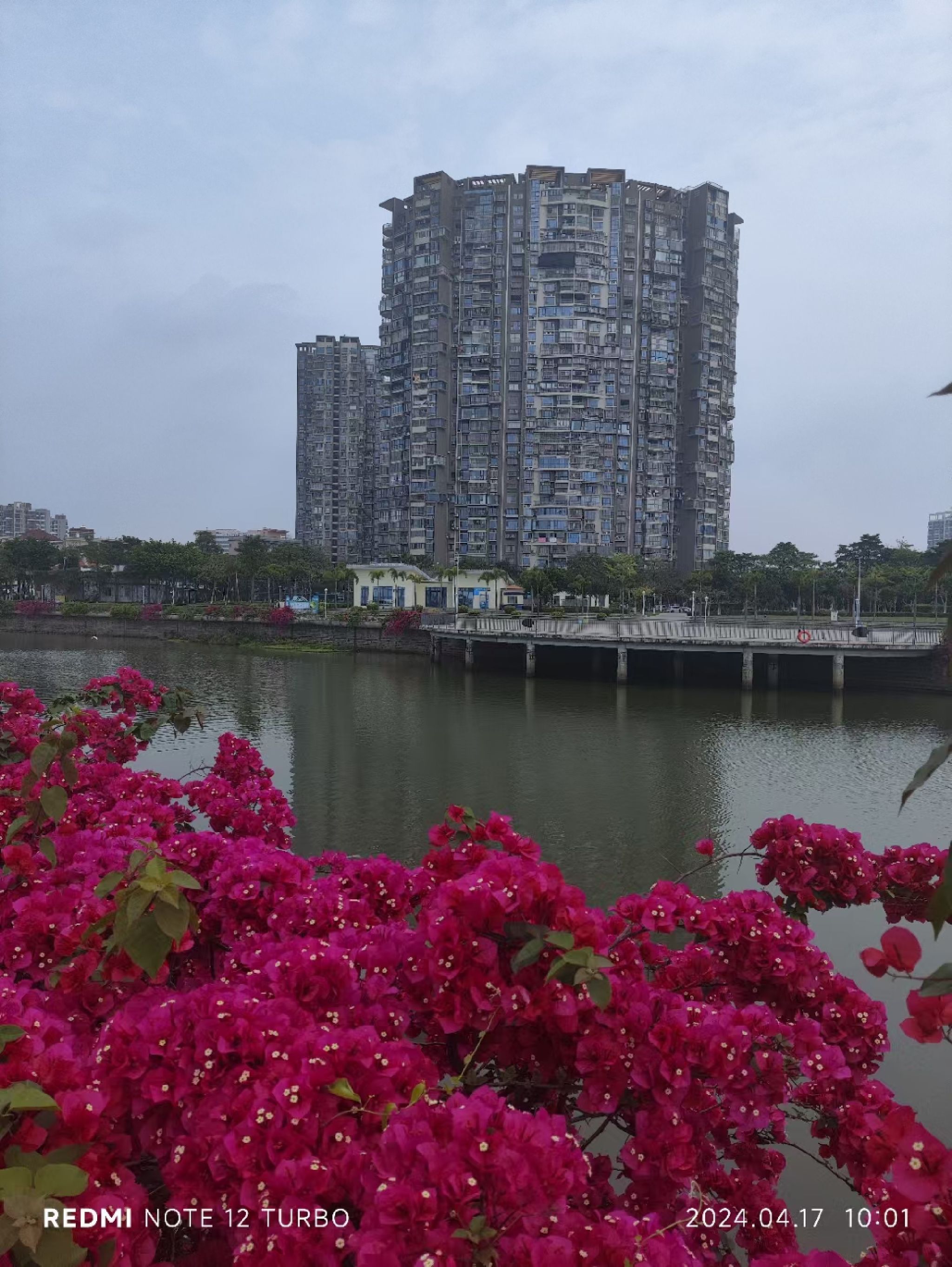 月美池公园旅行图片 2
