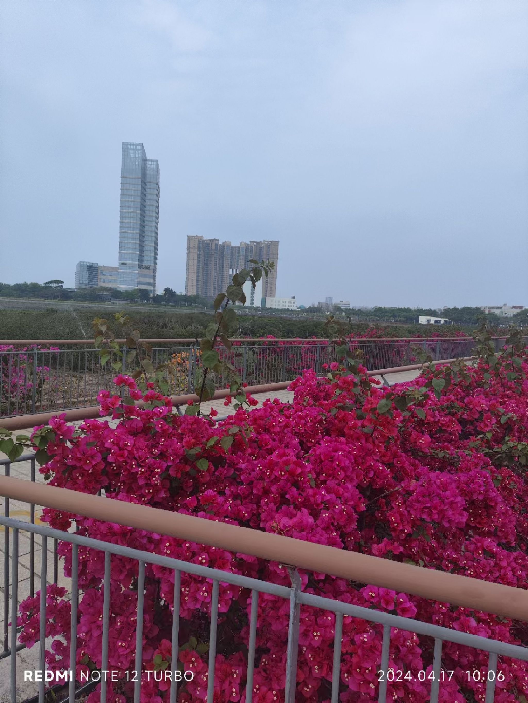 月美池公园旅行图片 3