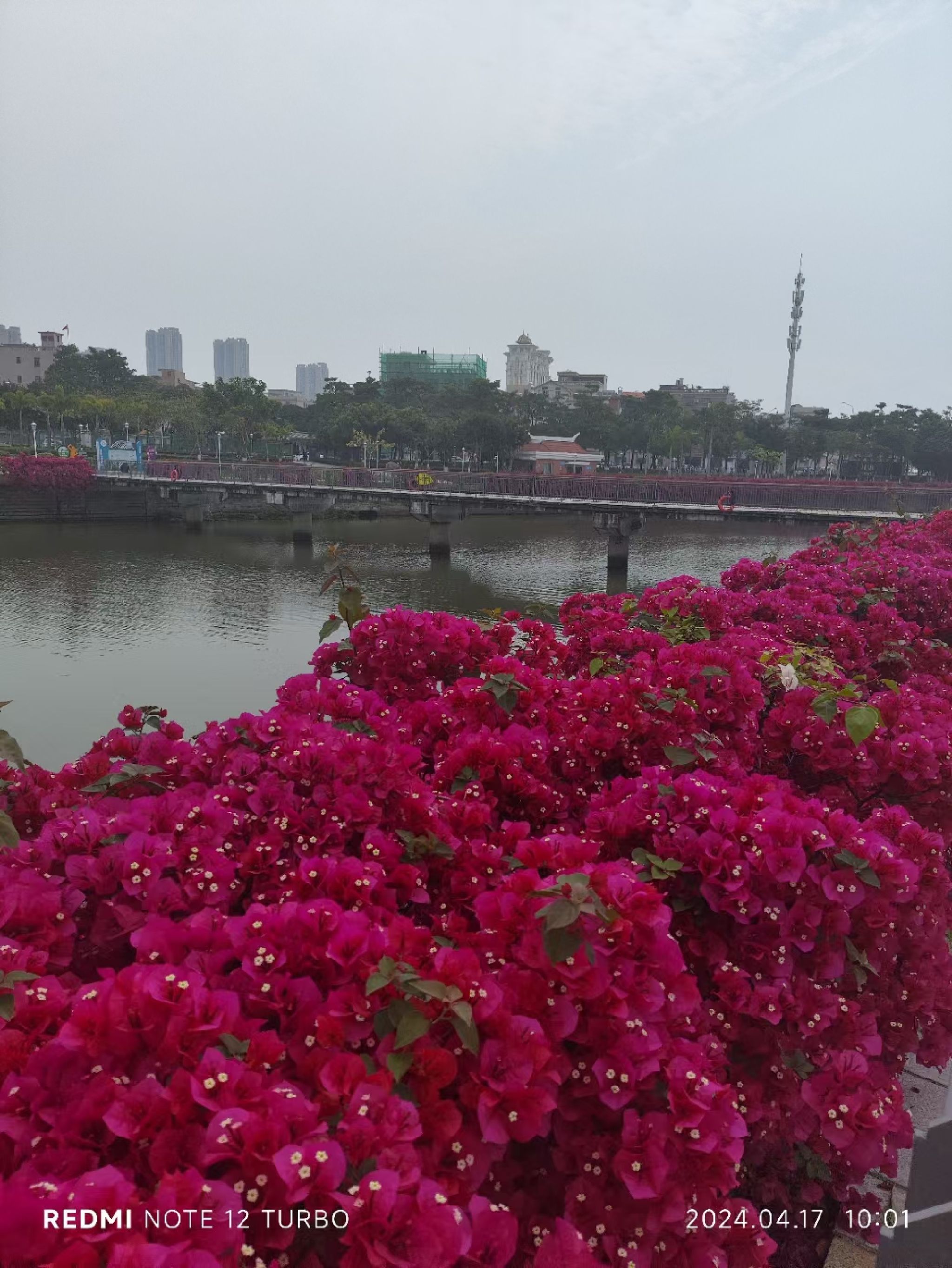 月美池公园旅行图片 1