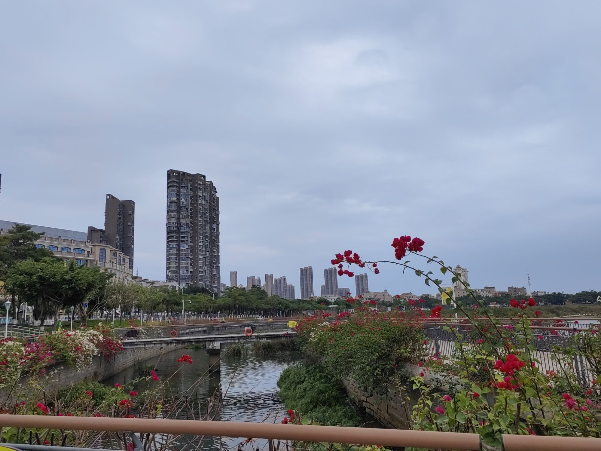 月美池公园旅行图片 1