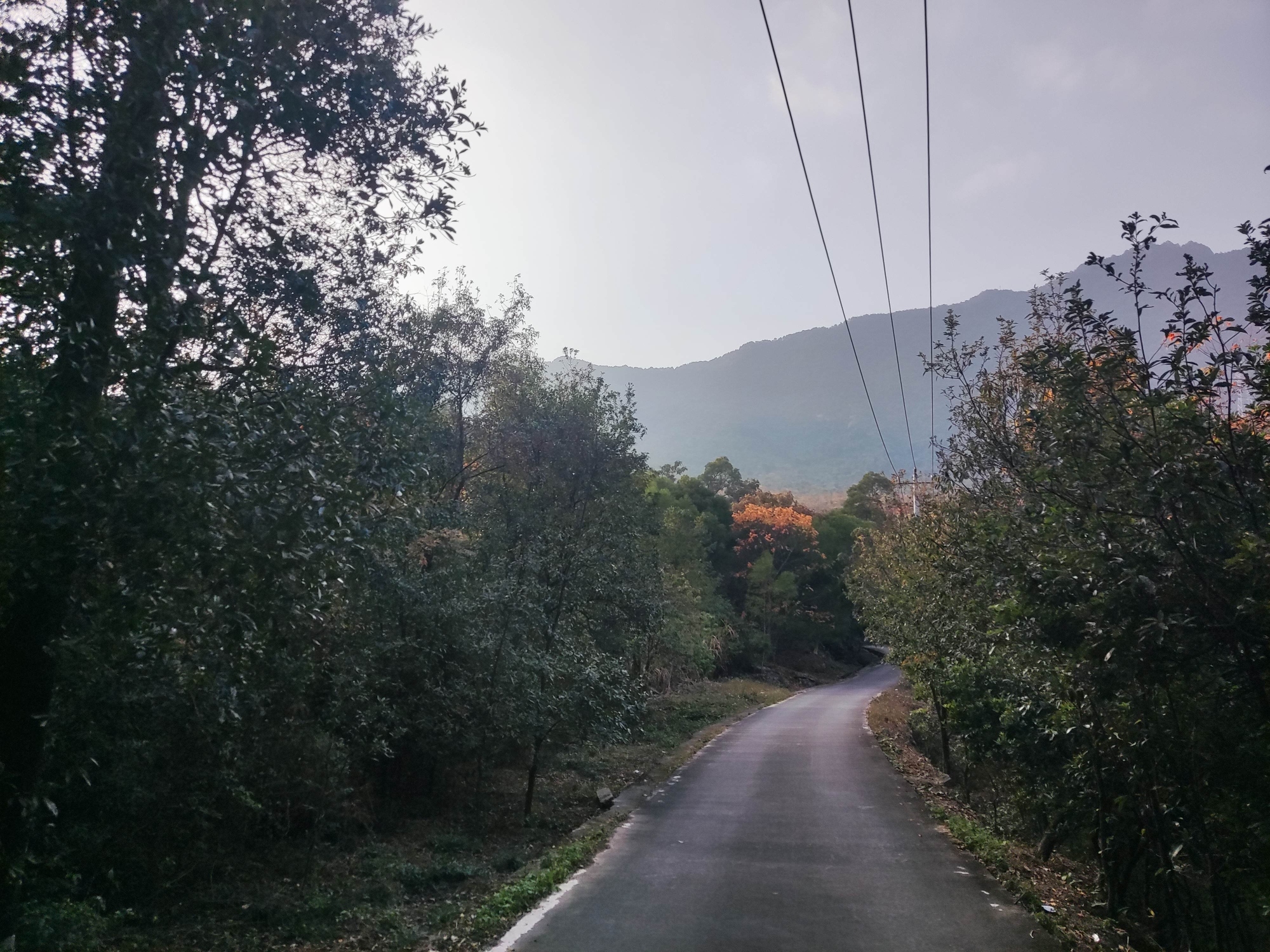 双龙潭生态运动景区旅行图片 1