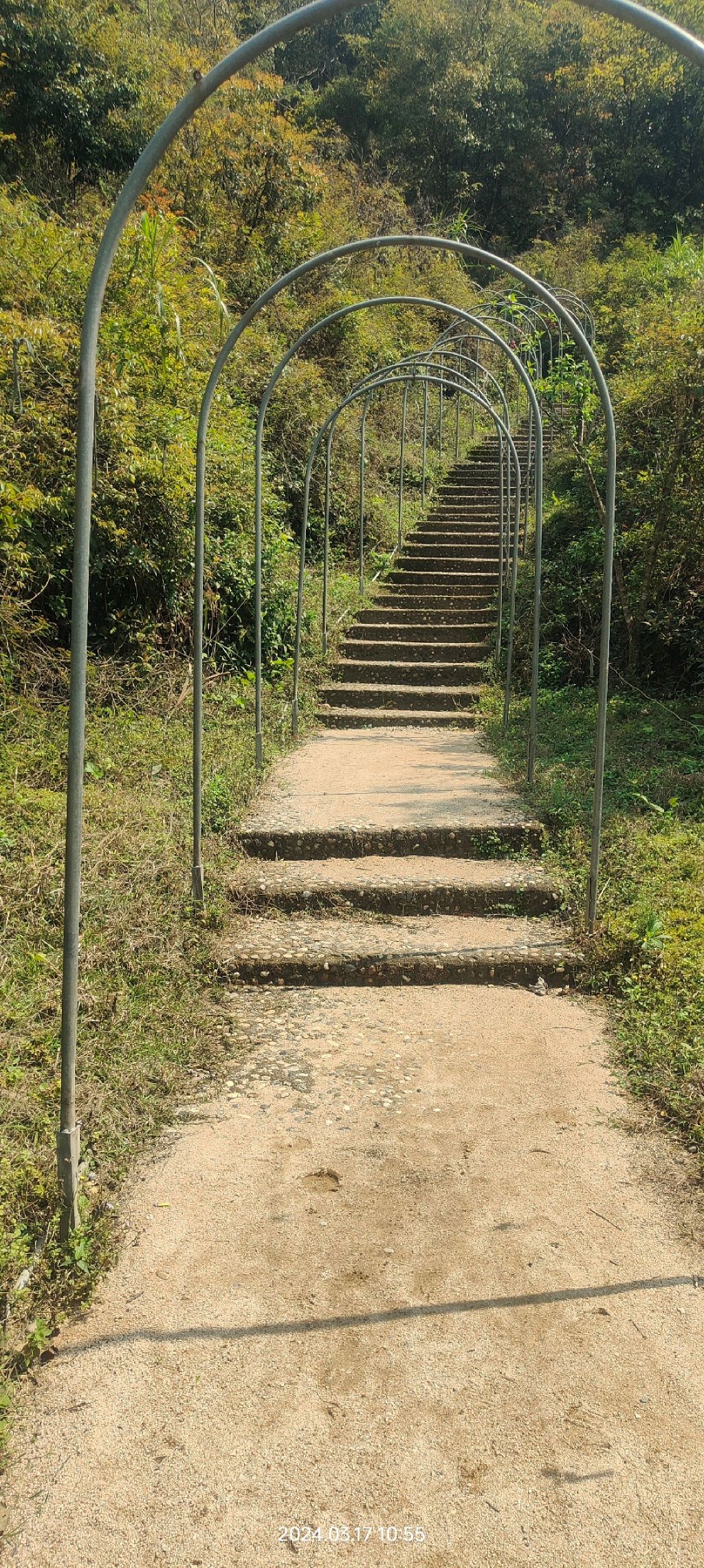 金光湖旅行图片 1