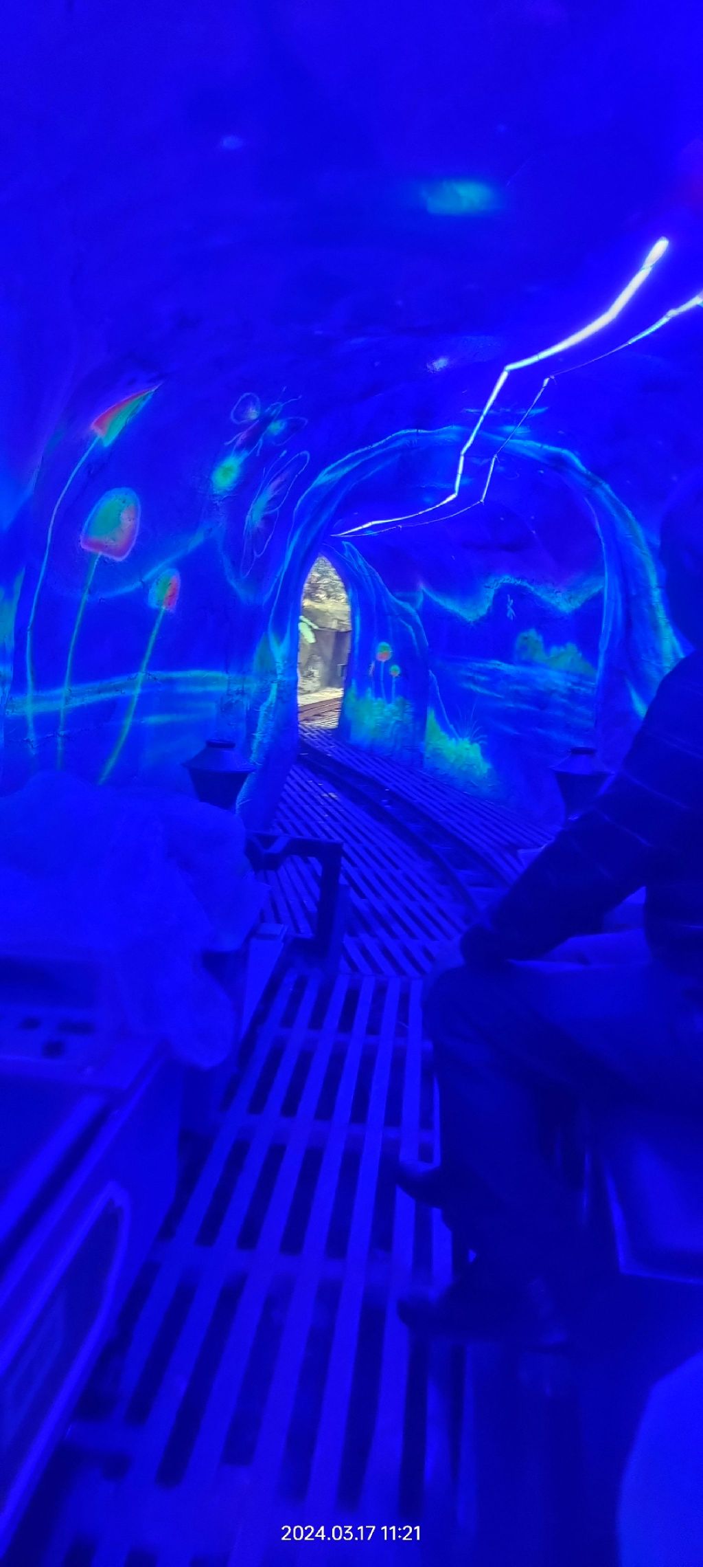 金光湖旅行图片 3