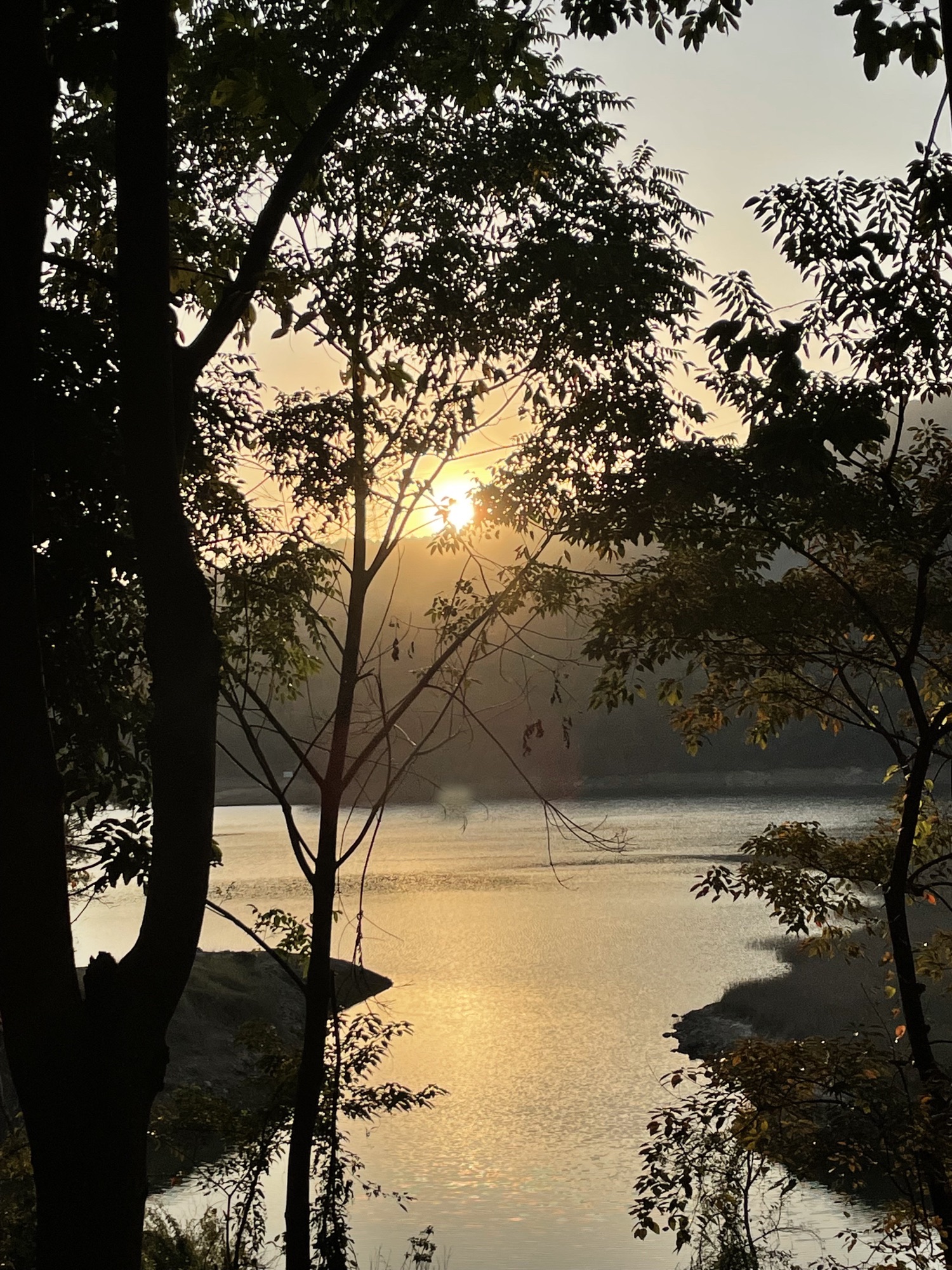 天竺山森林公园旅行图片 2