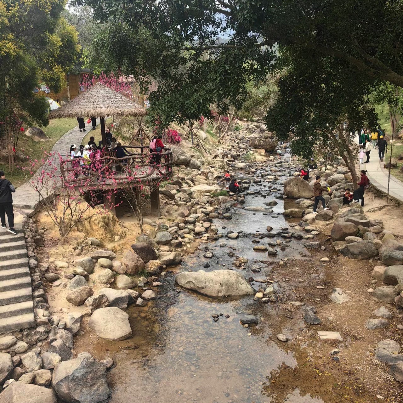 天竺山森林公园旅行图片 1