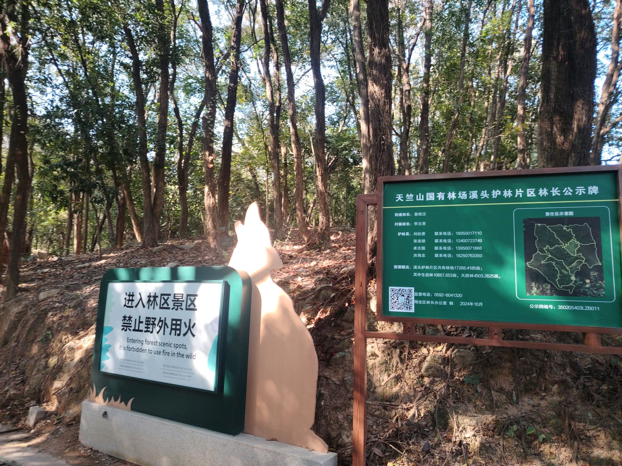 天竺山森林公园旅行图片 2