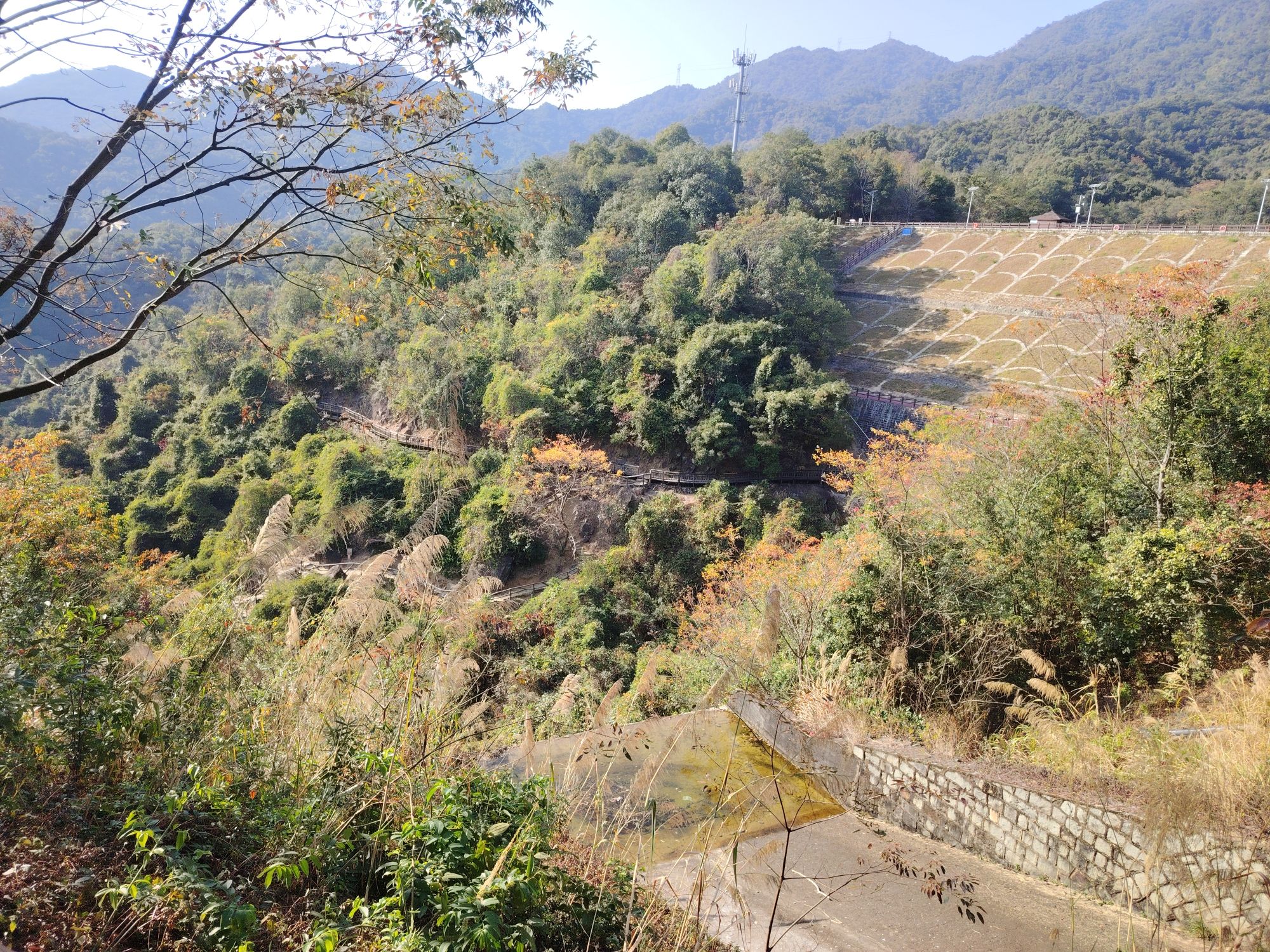 天竺山森林公园旅行图片 3
