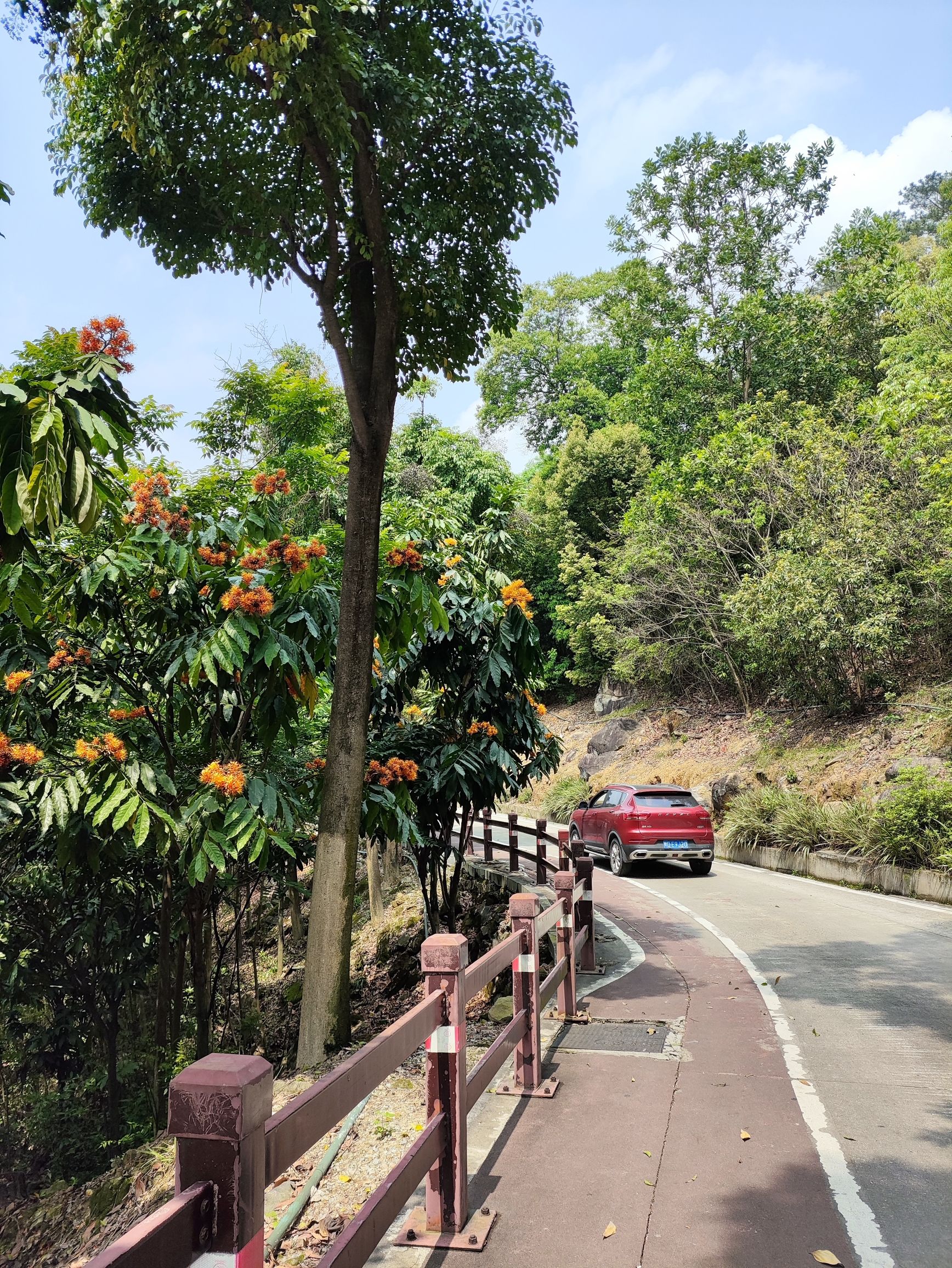 天竺山森林公园旅行图片 2