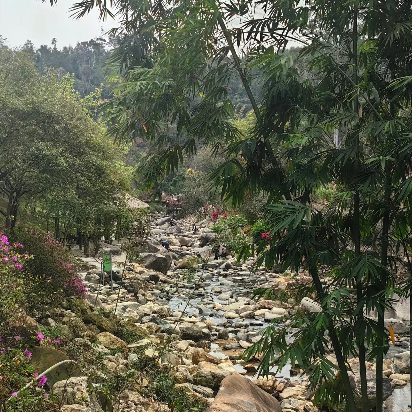 天竺山森林公园旅行图片 3