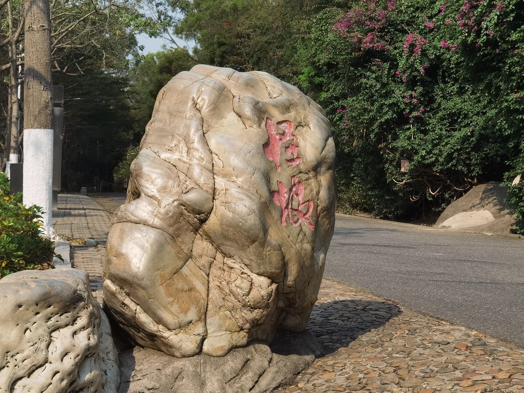 怪坡旅行图片 1