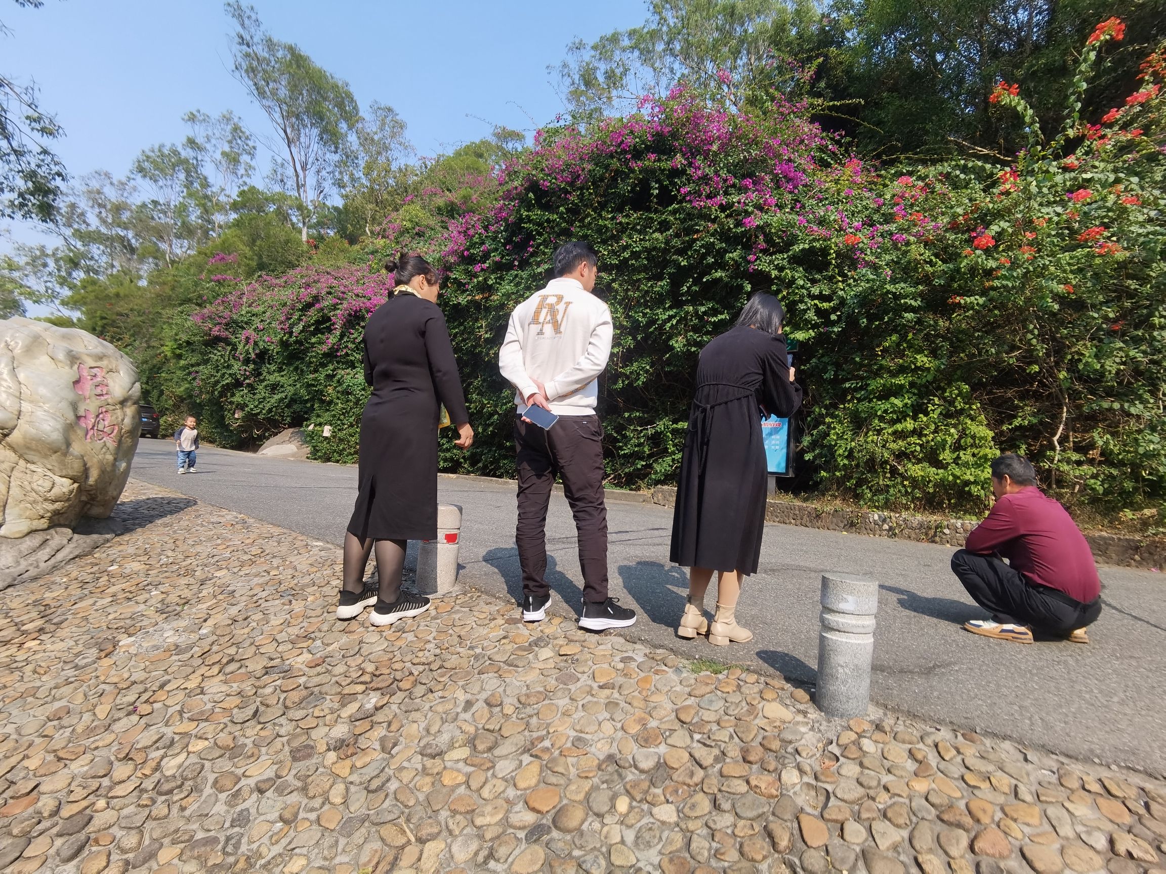 怪坡旅行图片 2