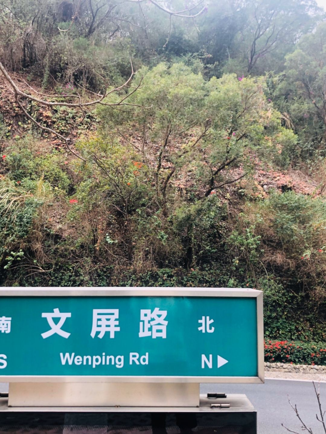 怪坡旅行图片 2