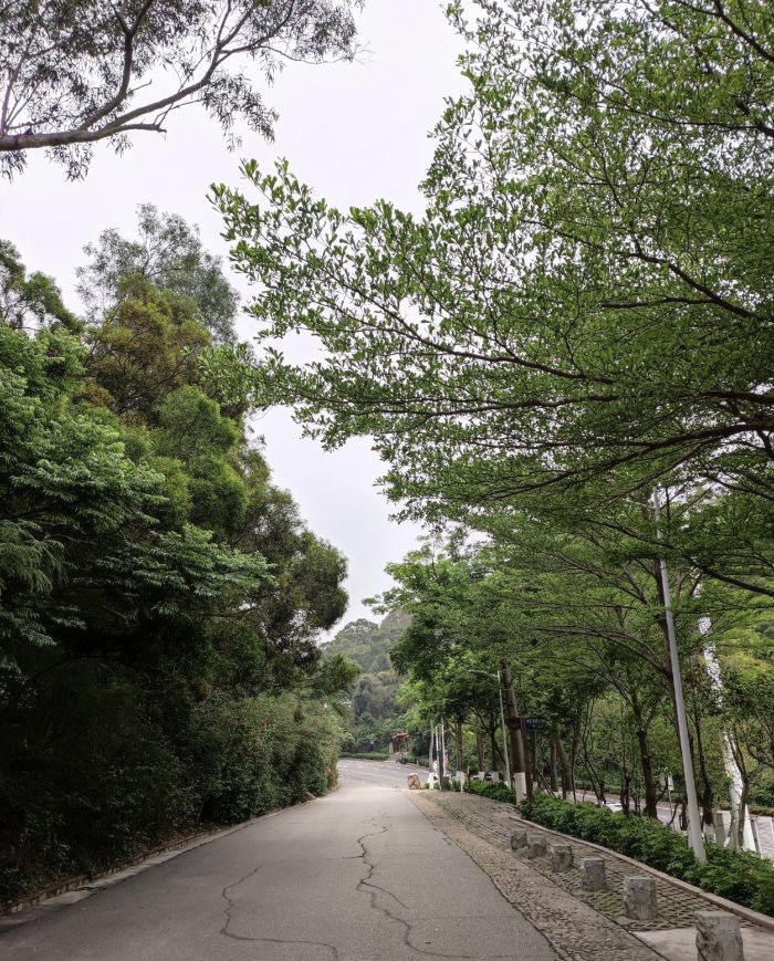 怪坡旅行图片 3