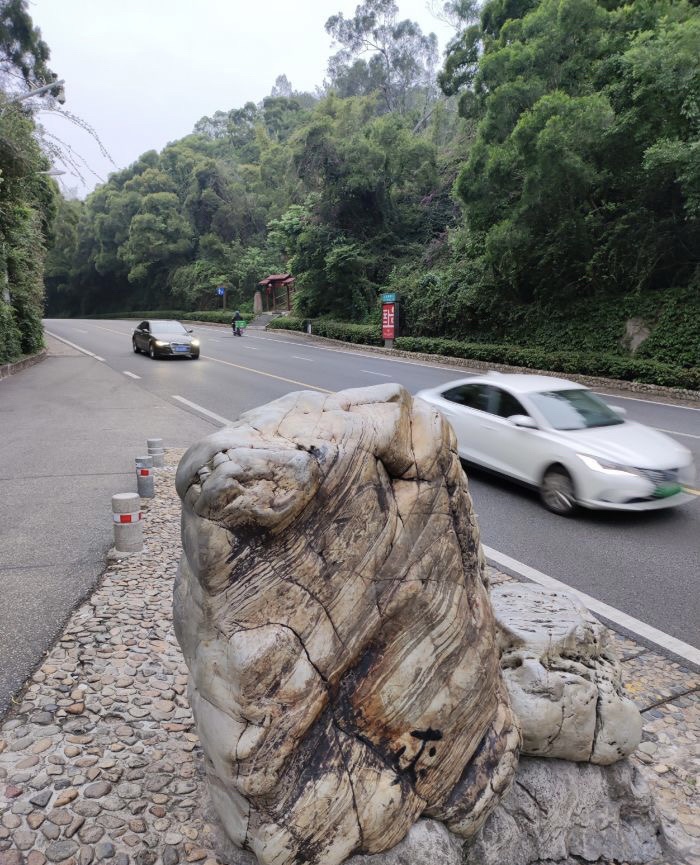 怪坡旅行图片 2