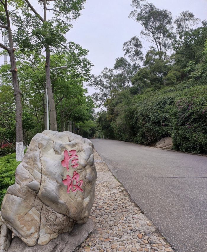 怪坡旅行图片 1