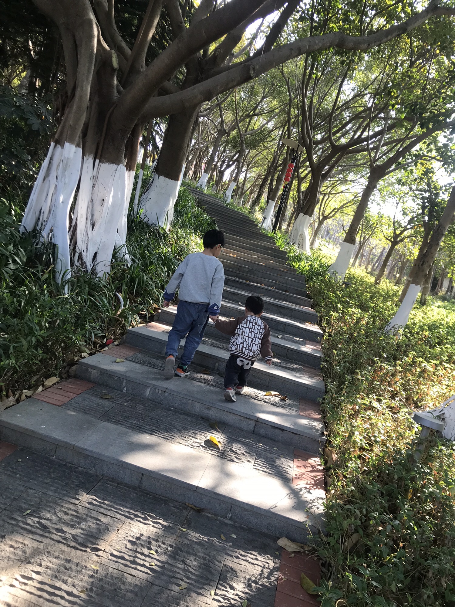 五通灯塔公园旅行图片 3