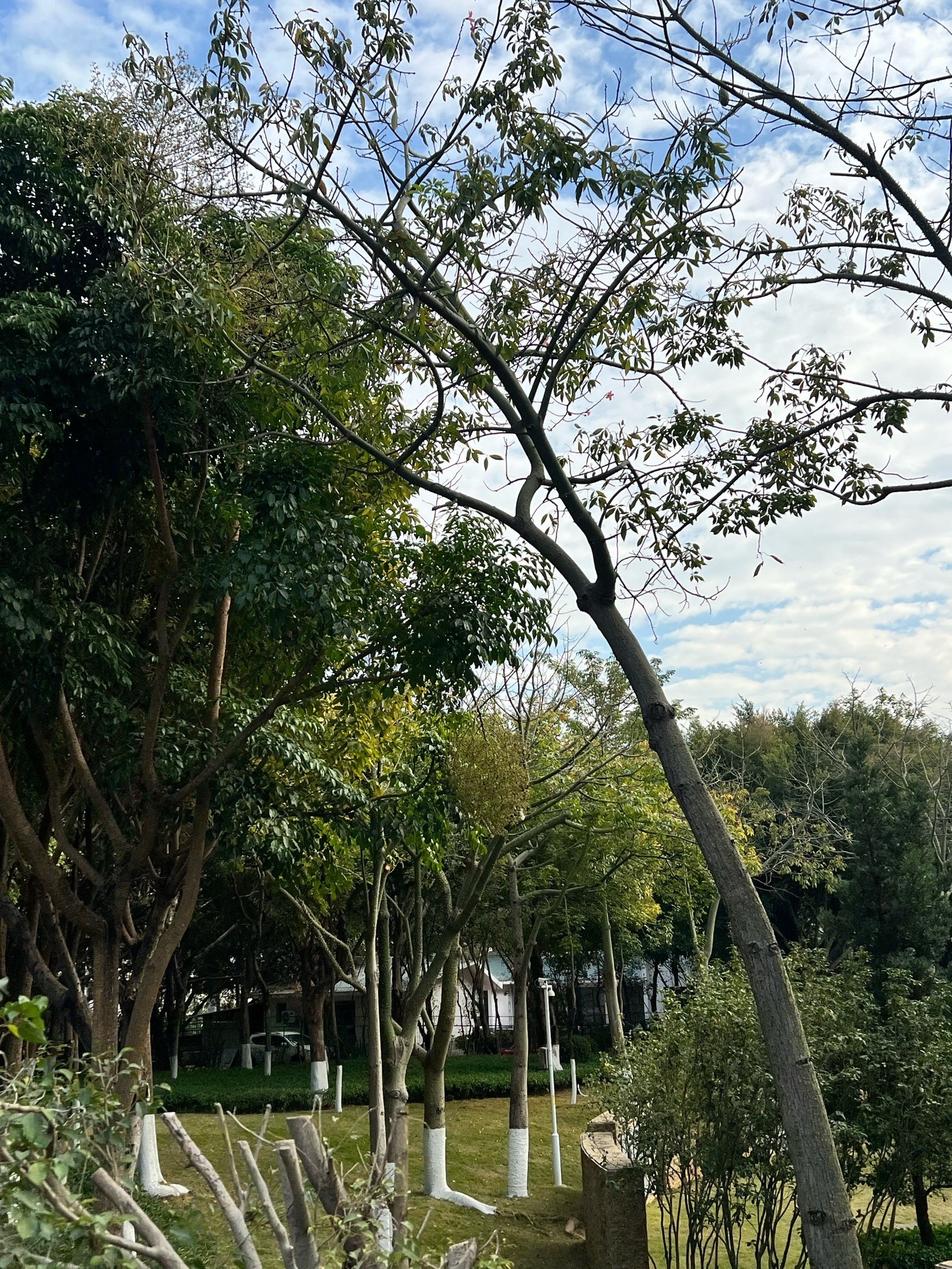 不争公园旅行图片 1