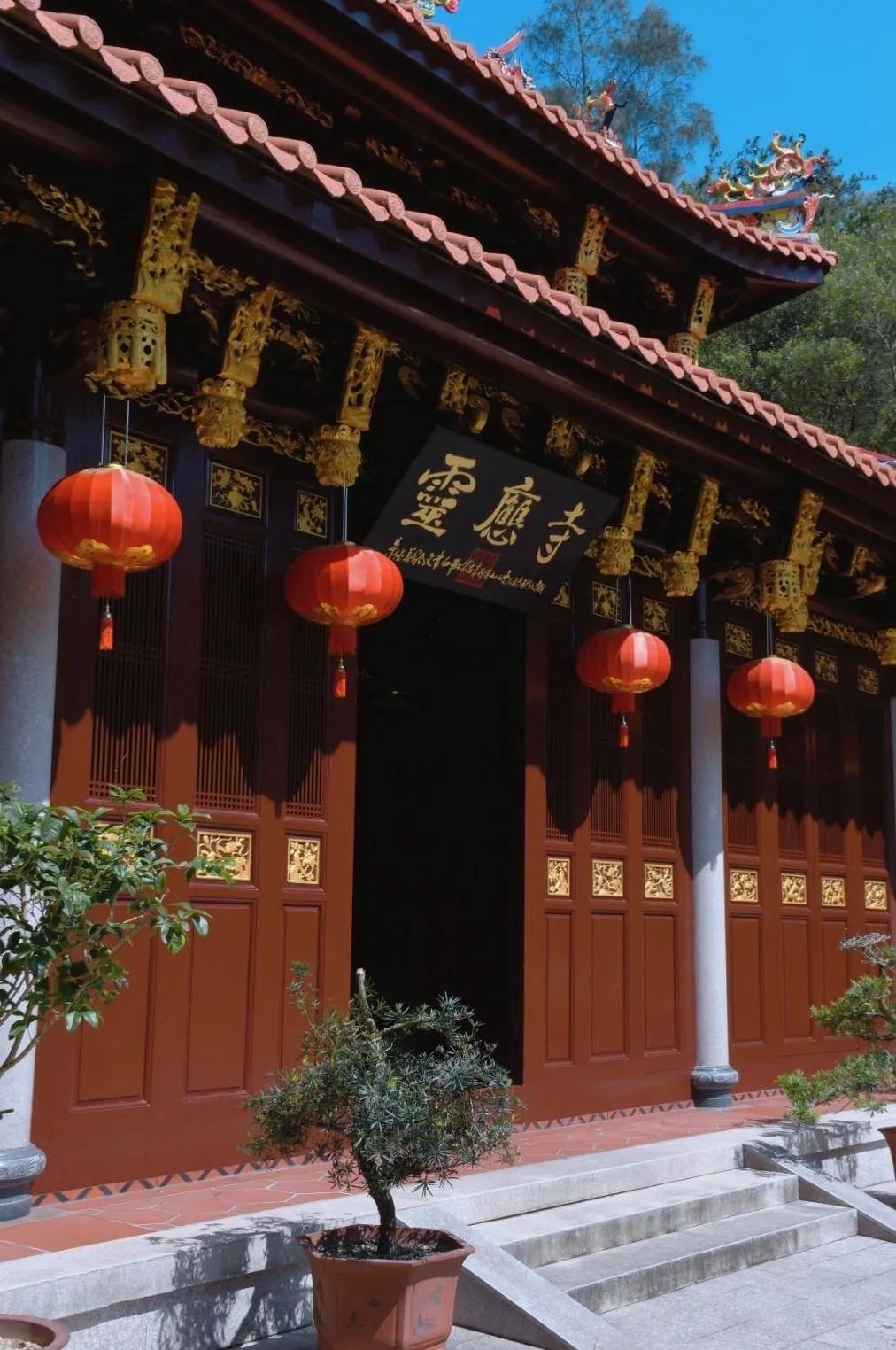 厦门园林植物园-灵应寺实景照片