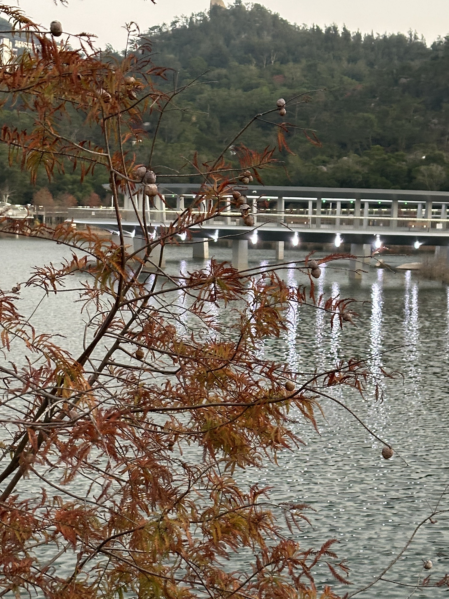 东坪山公园旅行图片 3