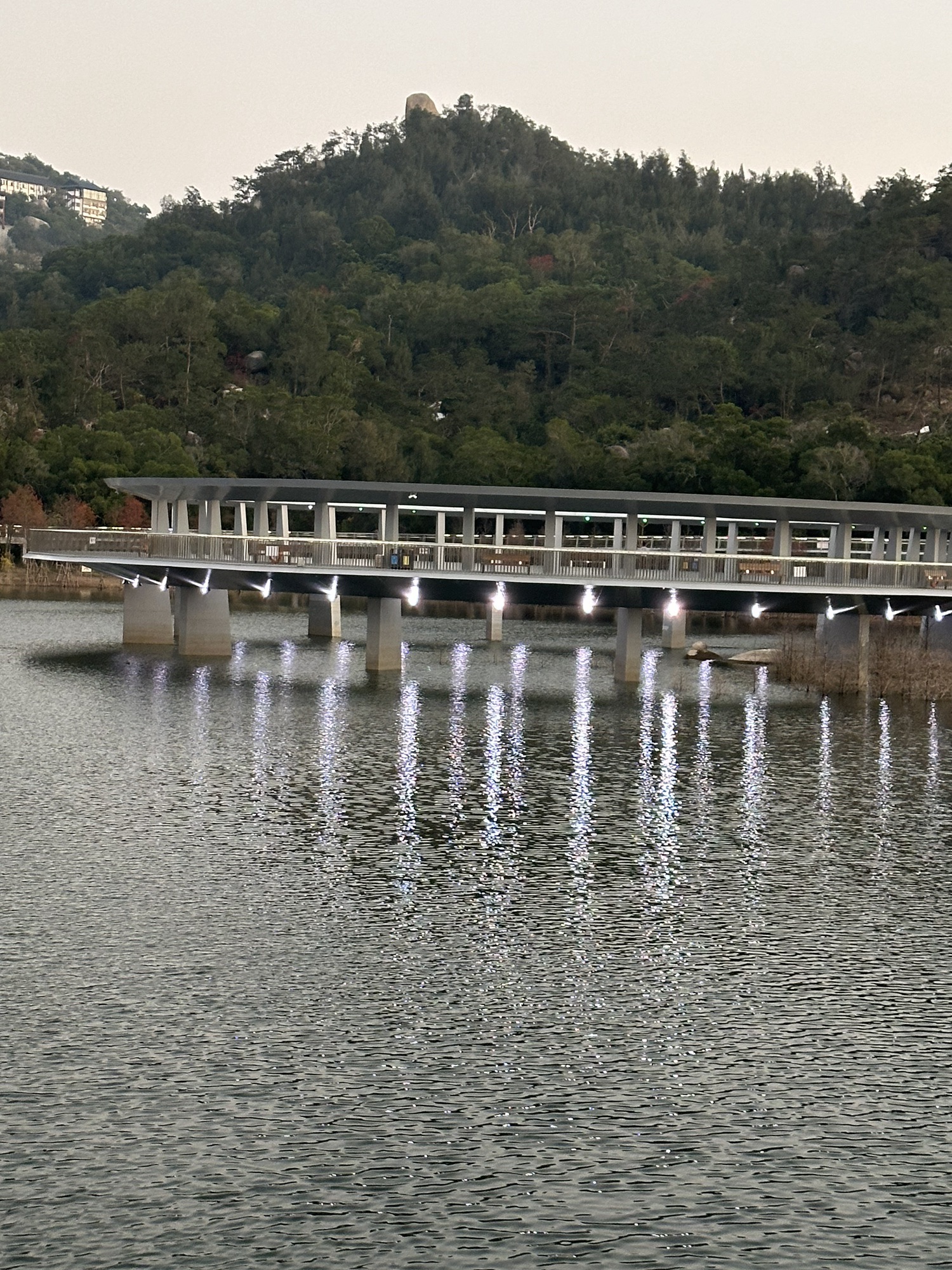 东坪山公园旅行图片 1