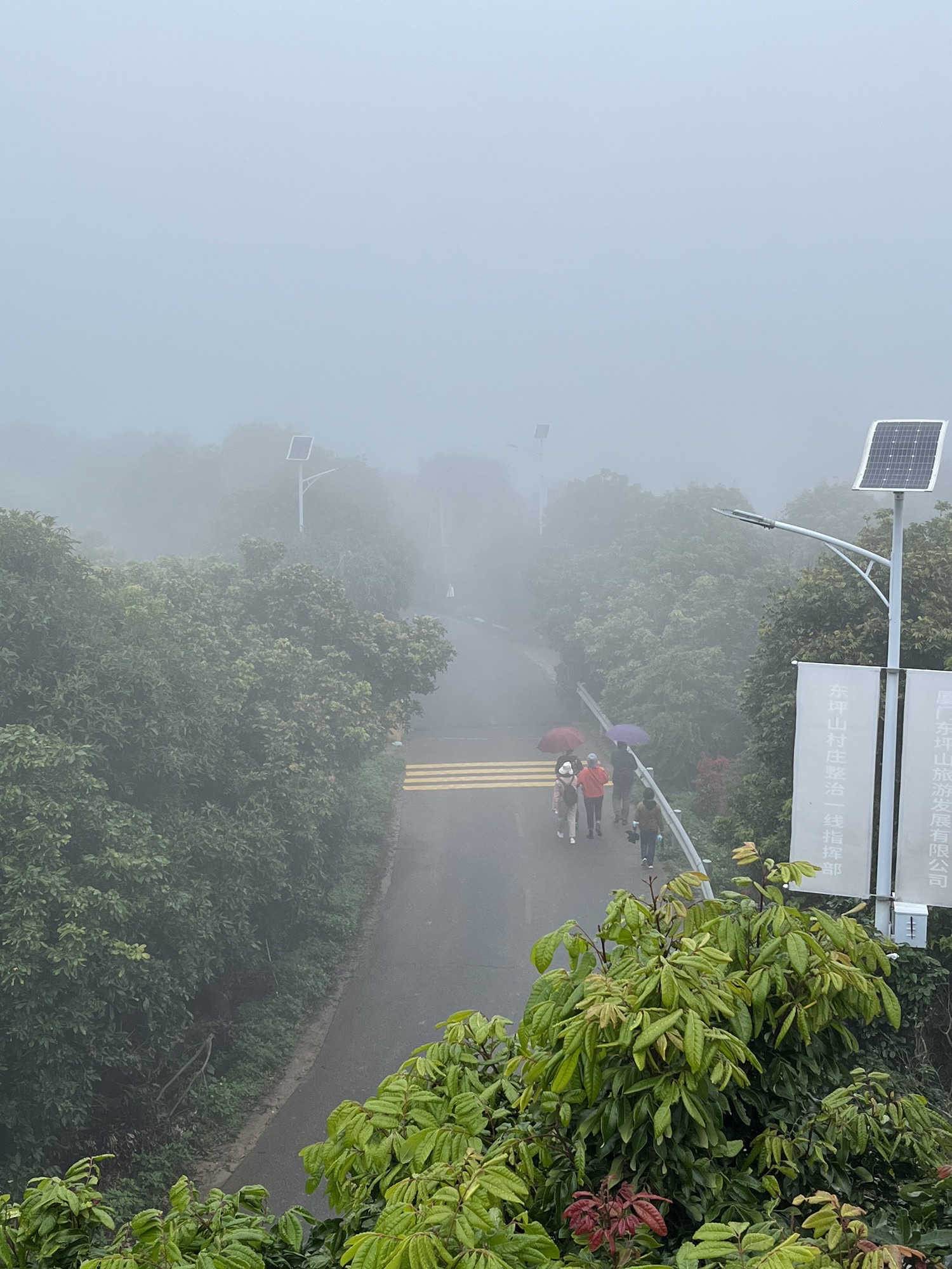 东坪山公园旅行图片 2