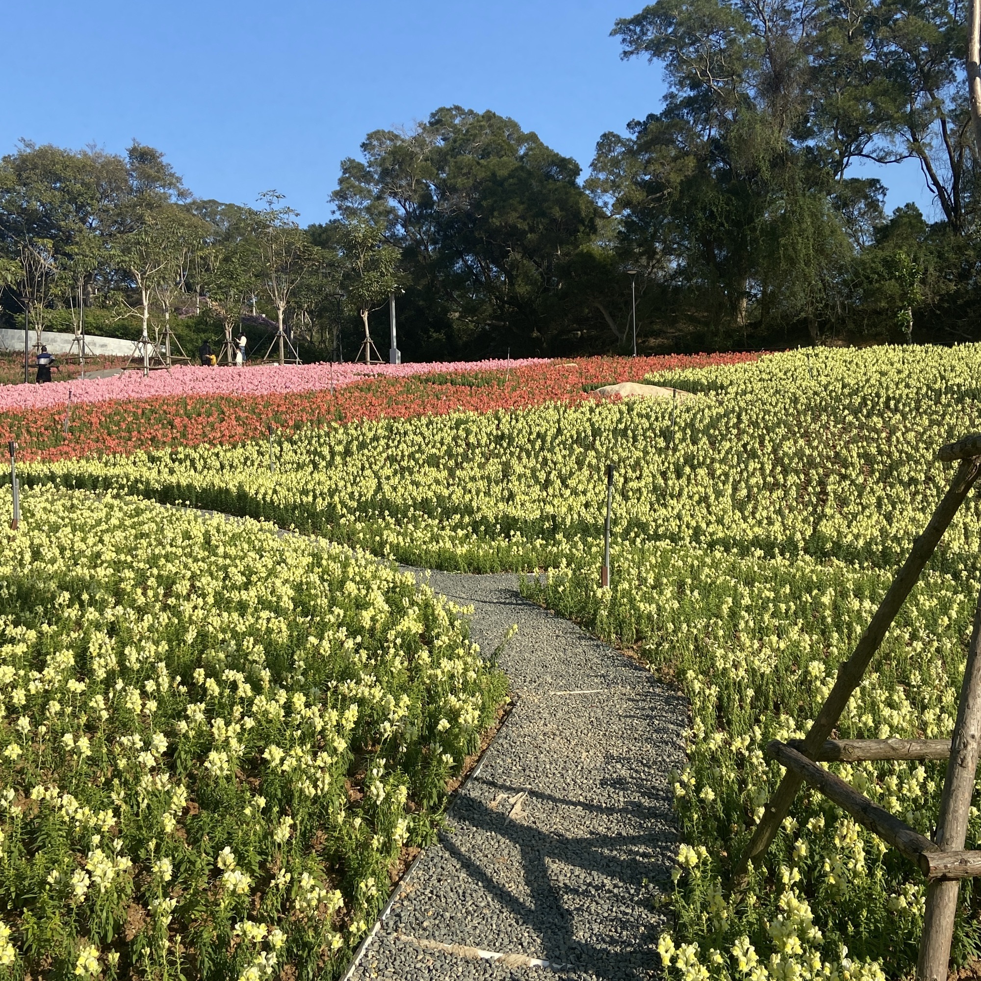 东坪山公园旅行图片 2