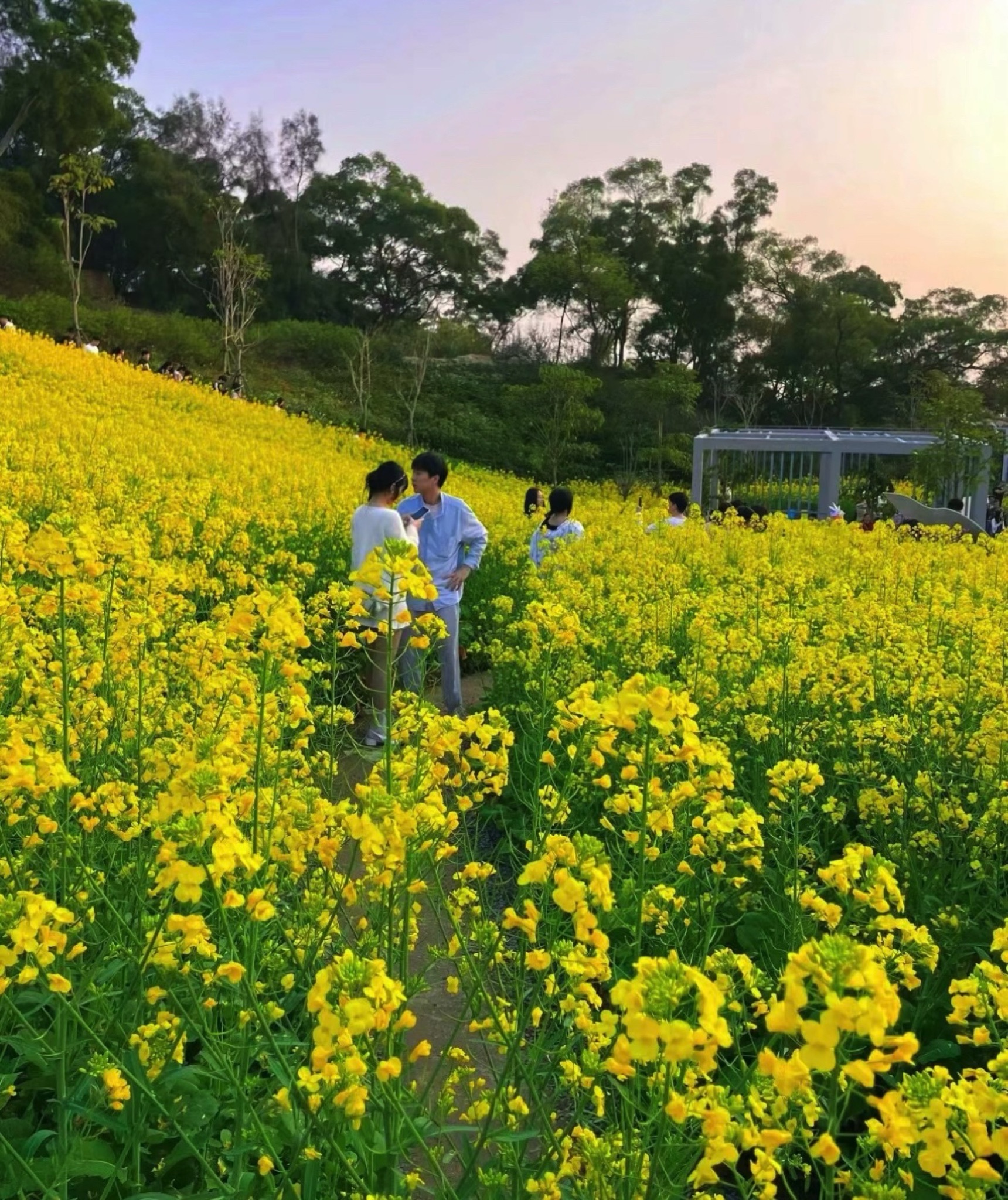 东坪山公园旅行图片 1