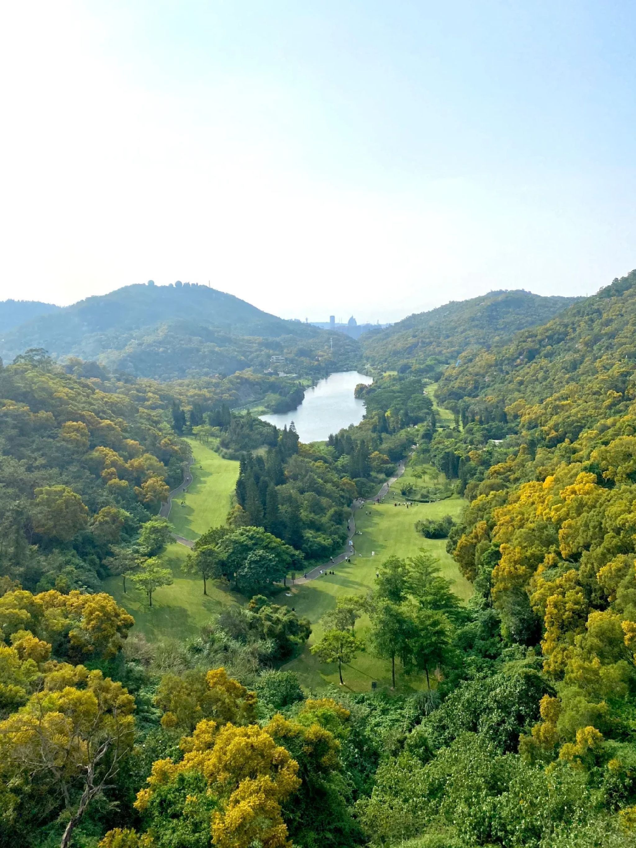 东坪山公园