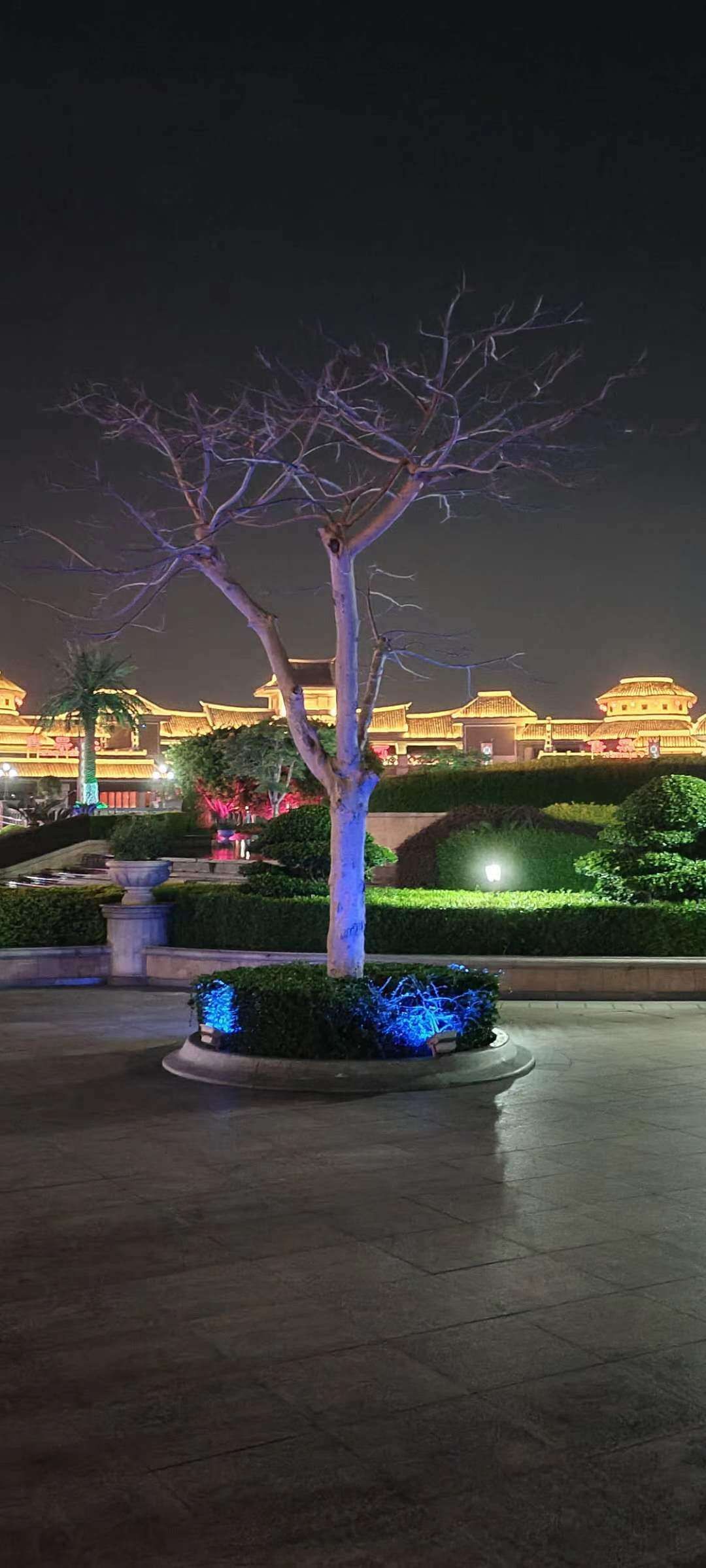 厦门方特梦幻王国旅行图片 3
