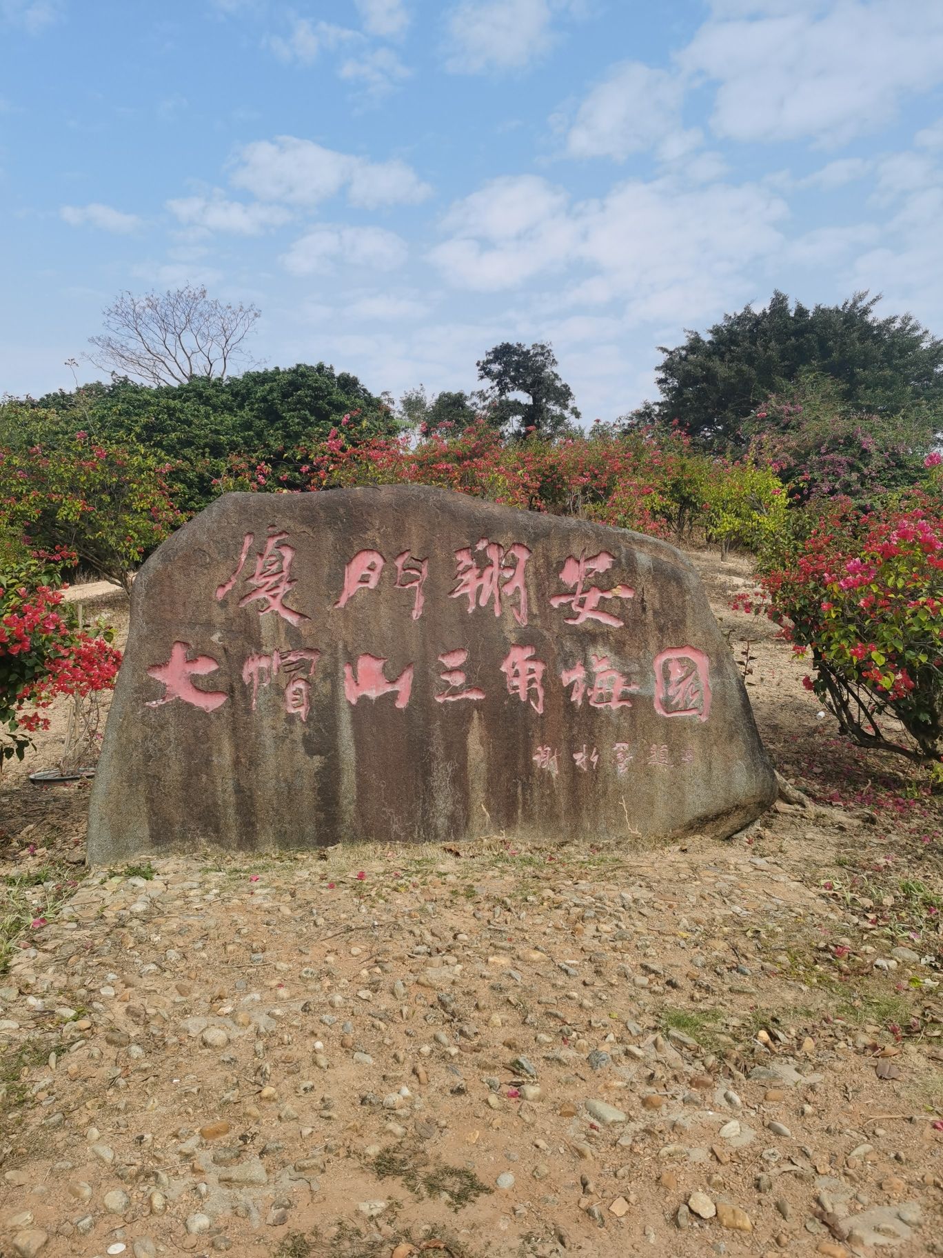大帽山三角梅园旅行图片 1