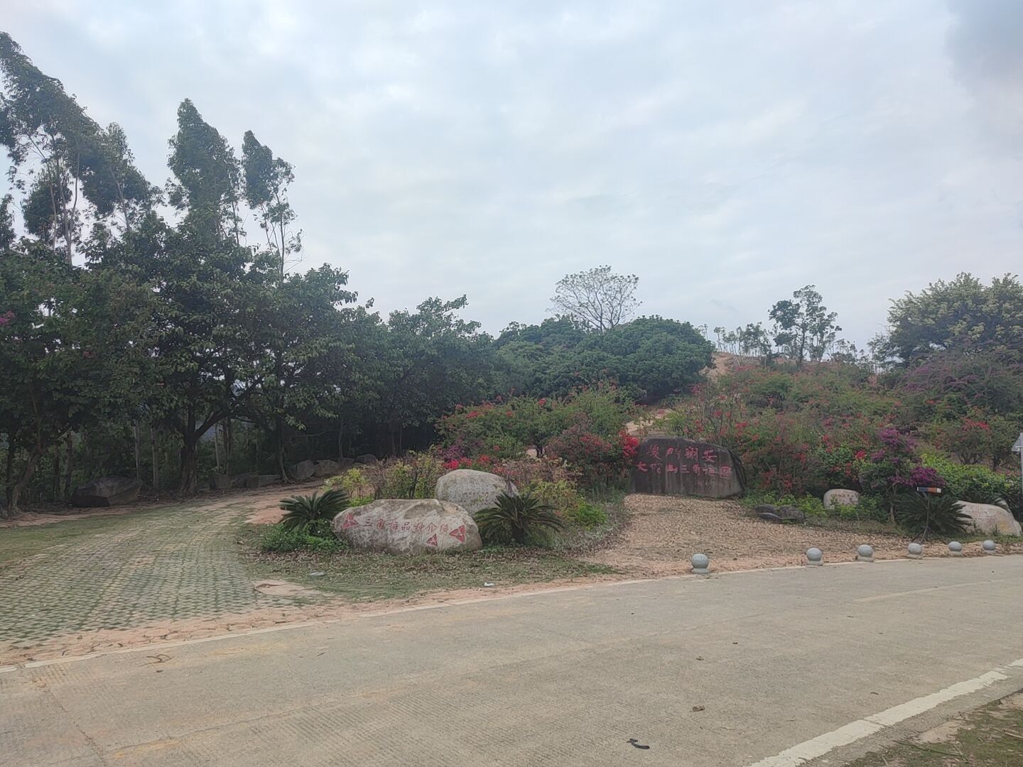大帽山三角梅园旅行图片 1
