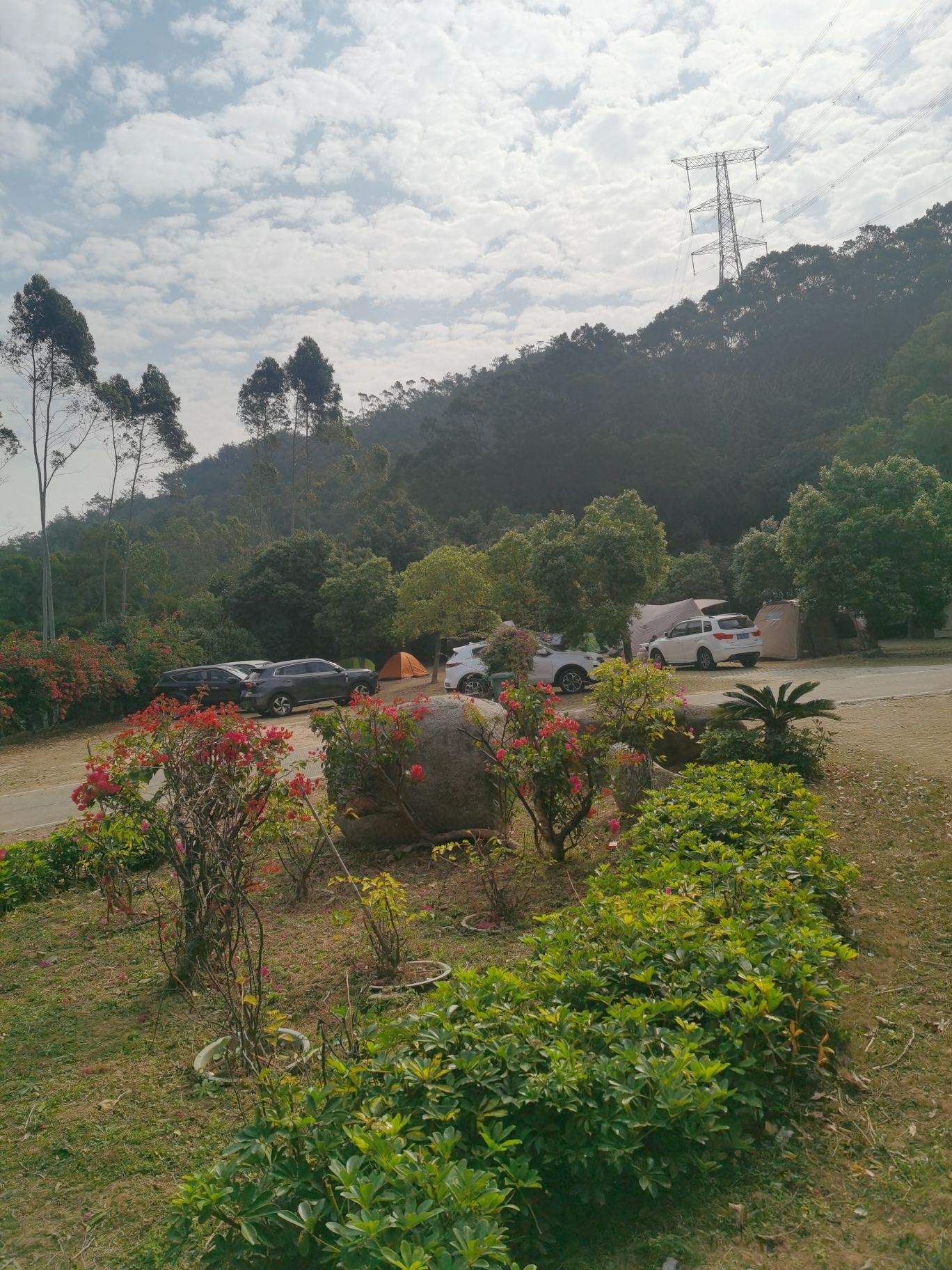 大帽山三角梅园旅行图片 3