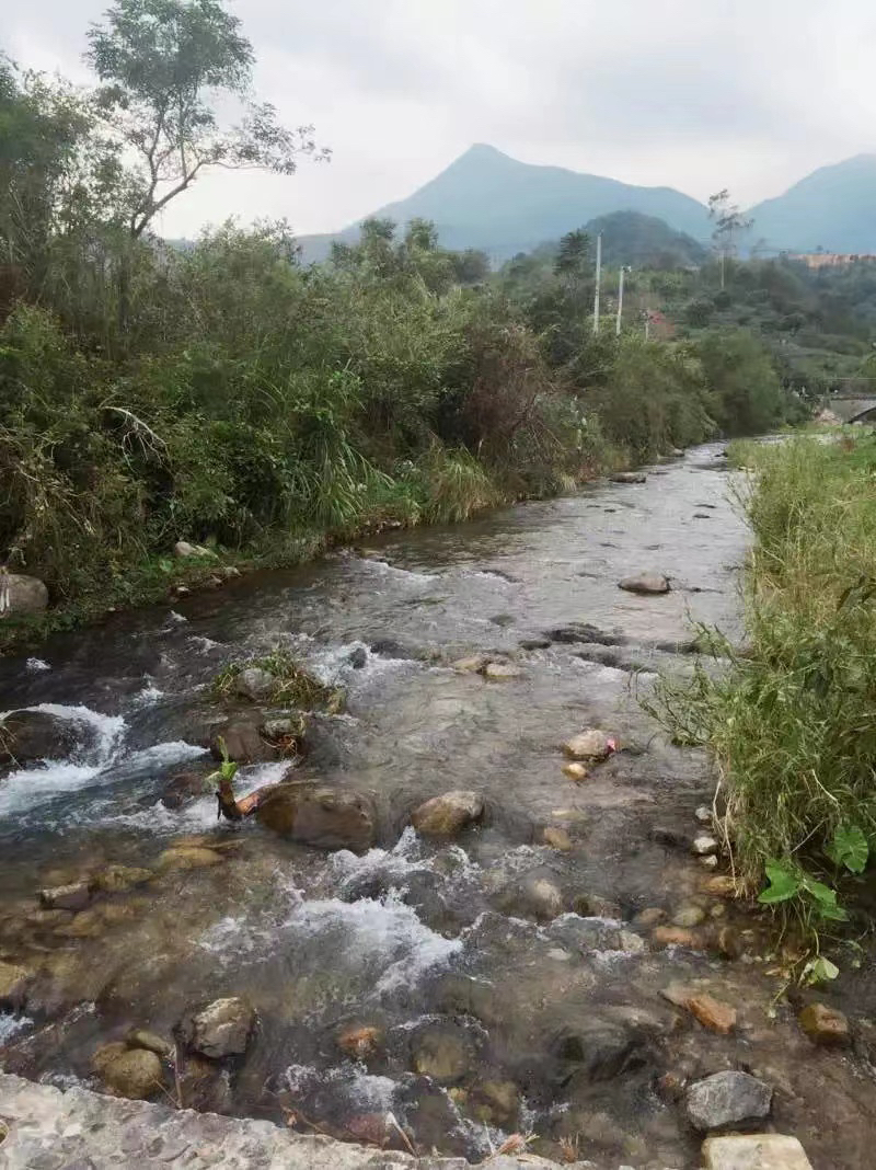 德安古堡旅行图片 3