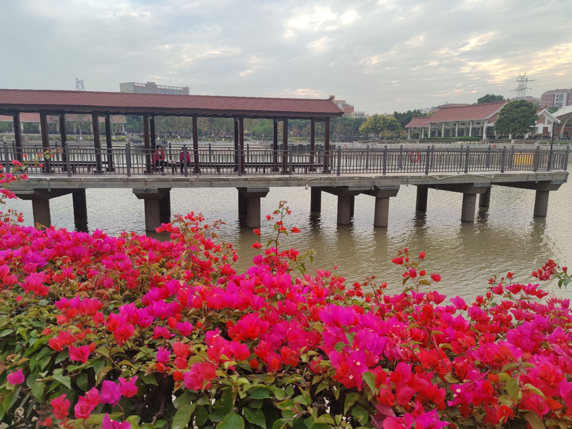 灌口镇风景湖公园旅行图片 3