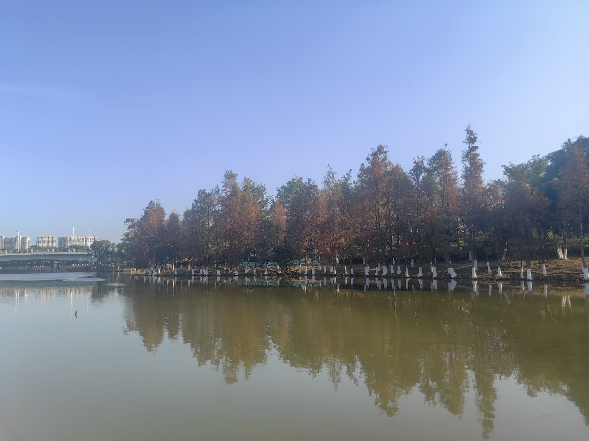 灌口镇风景湖公园旅行图片 1