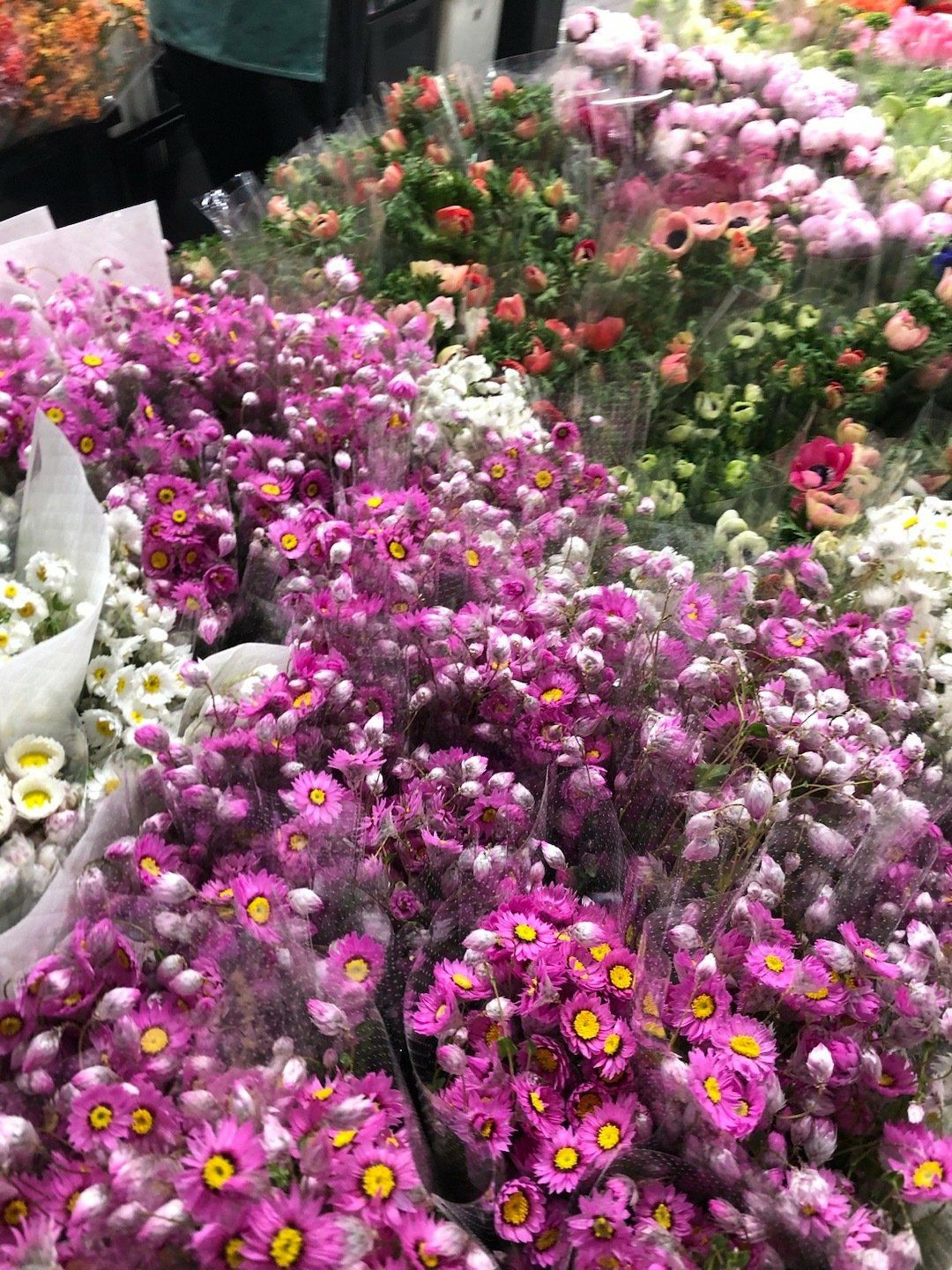 二市鲜花市场