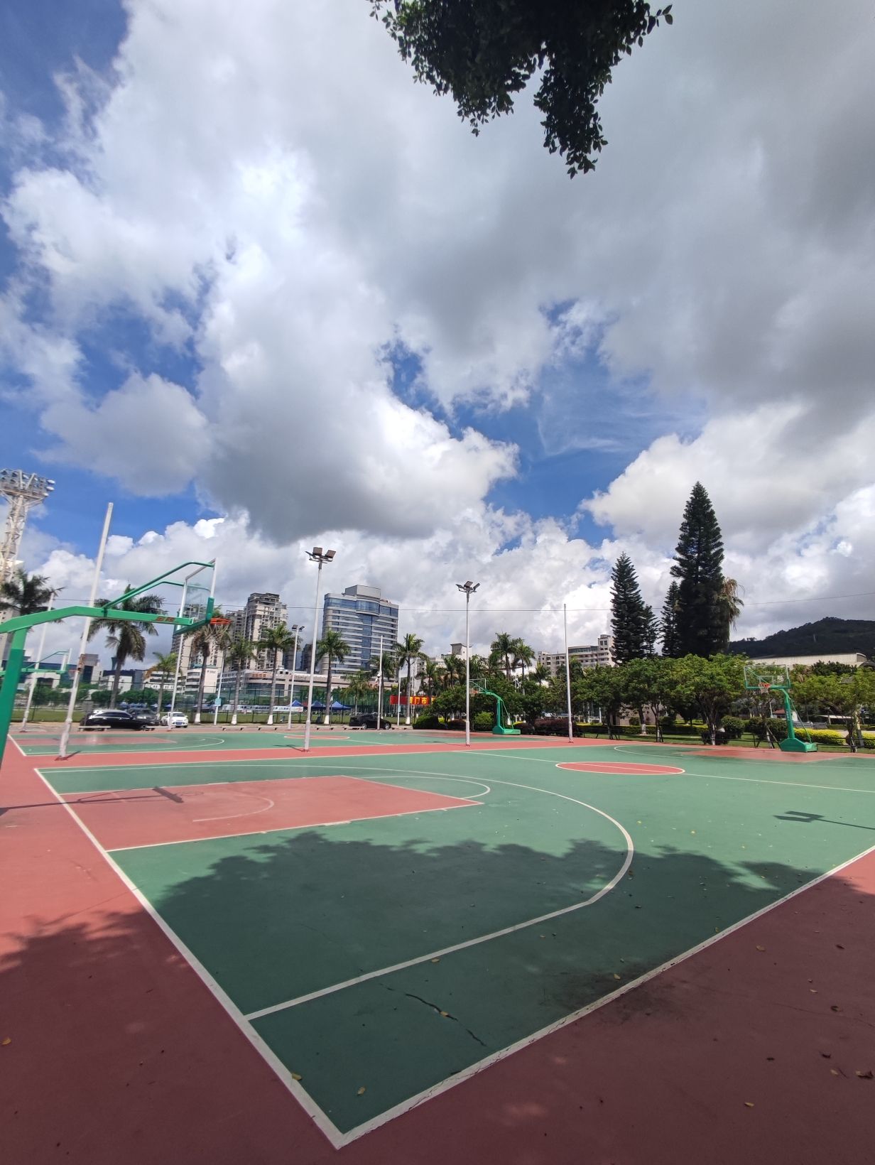 厦门体育中心足球训练场