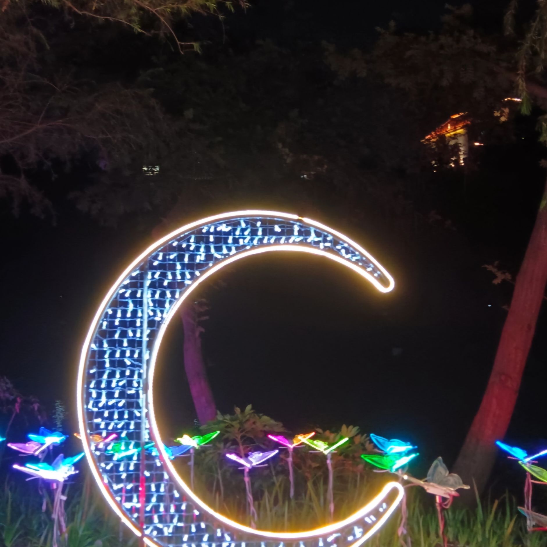 富春公园旅行图片 3