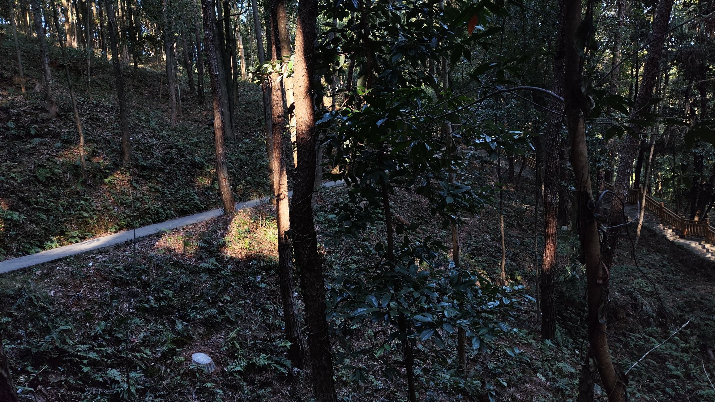 玉田公园旅行图片 3
