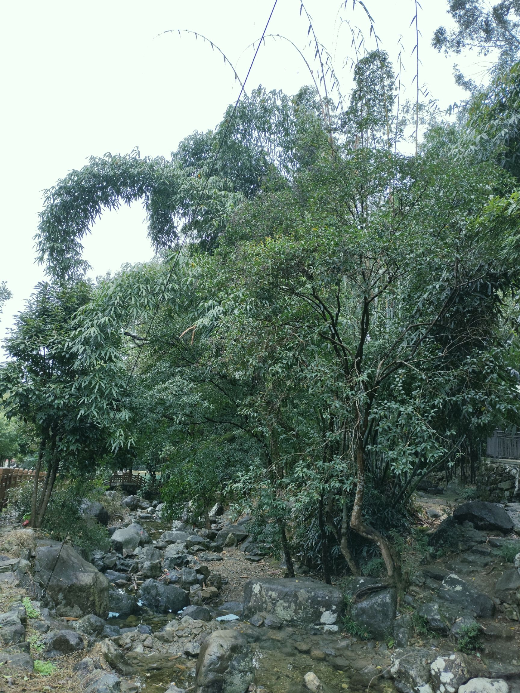 南漈山旅行图片 2