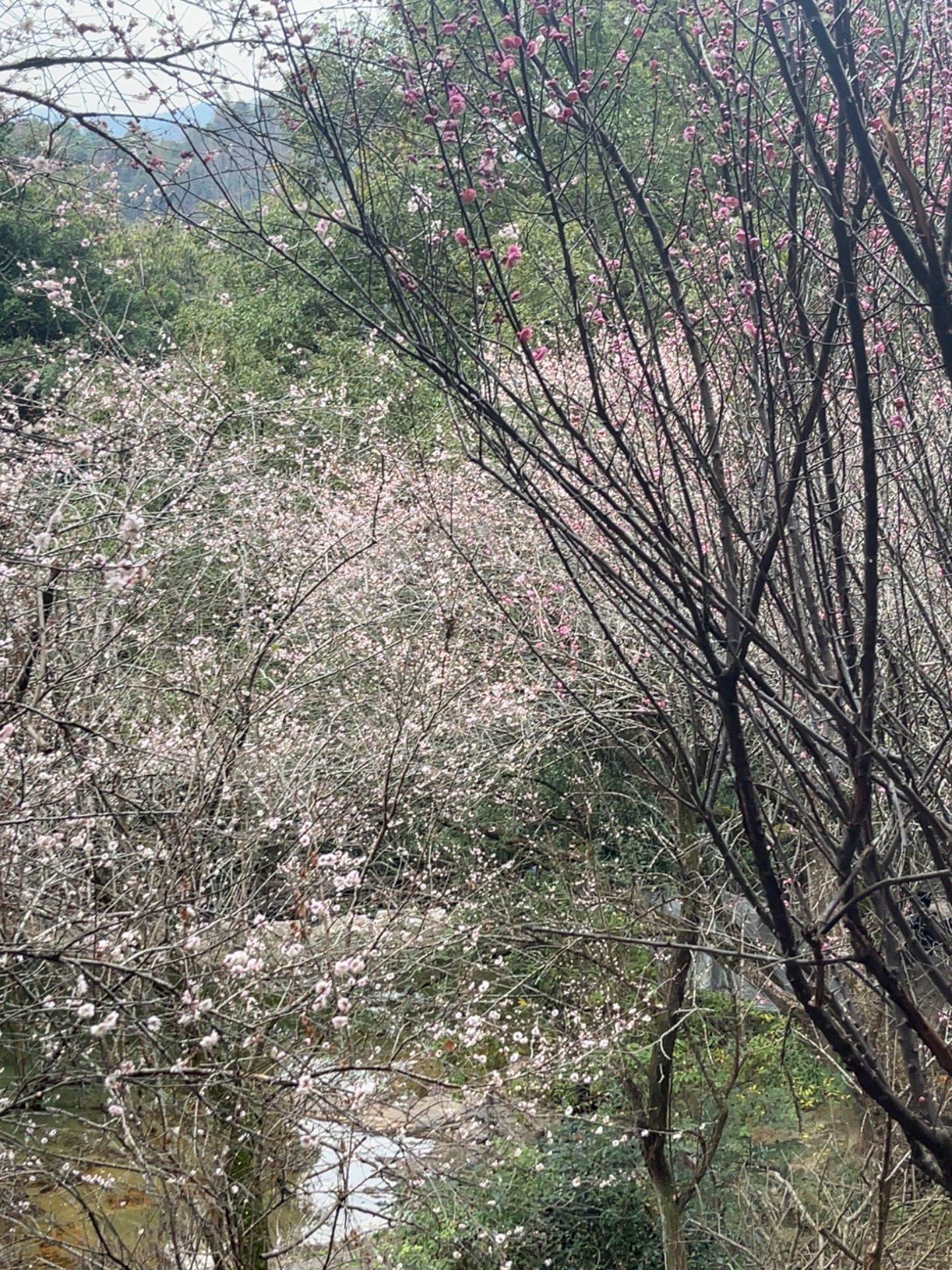 南漈山旅行图片 3