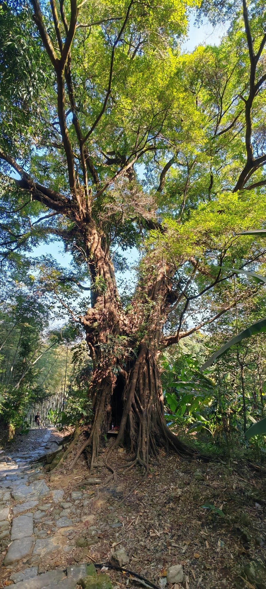 南漈山旅行图片 3