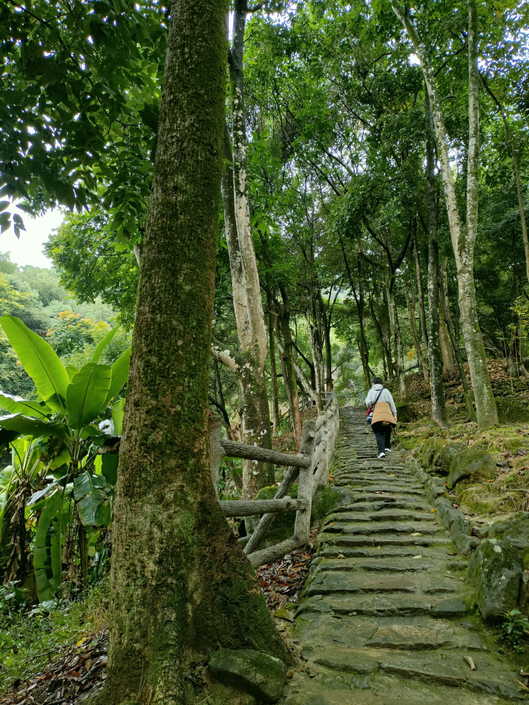 南漈山旅行图片 1