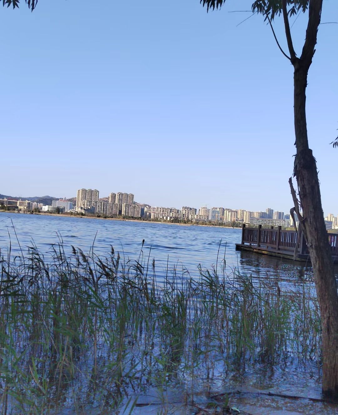 南岸公园旅行图片 3