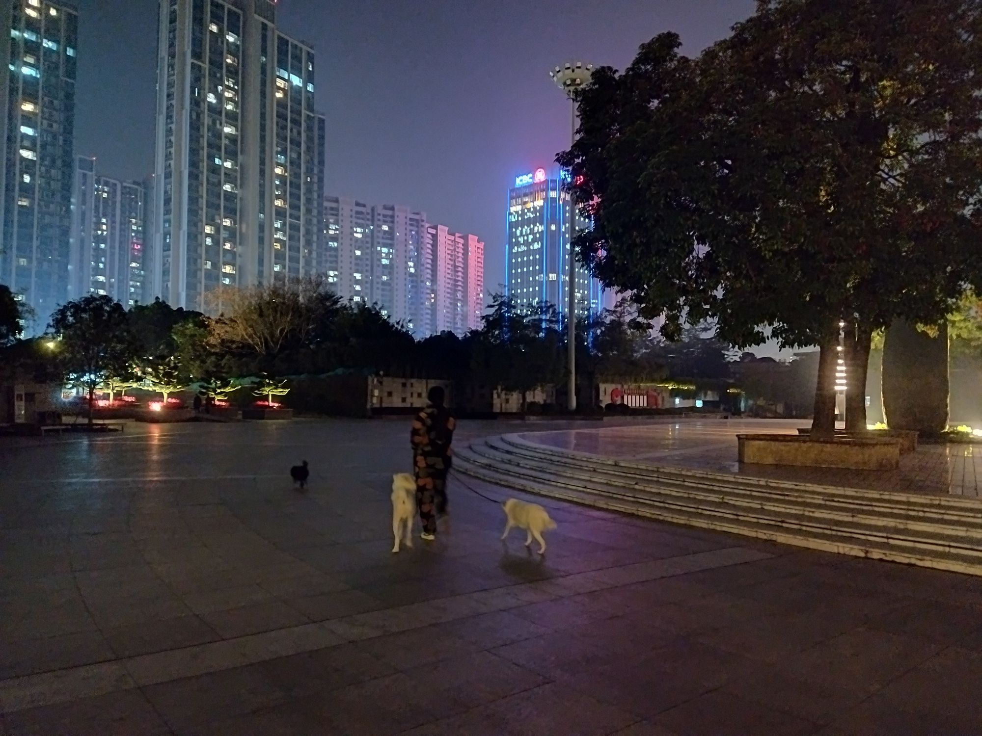 南岸公园旅行图片 3