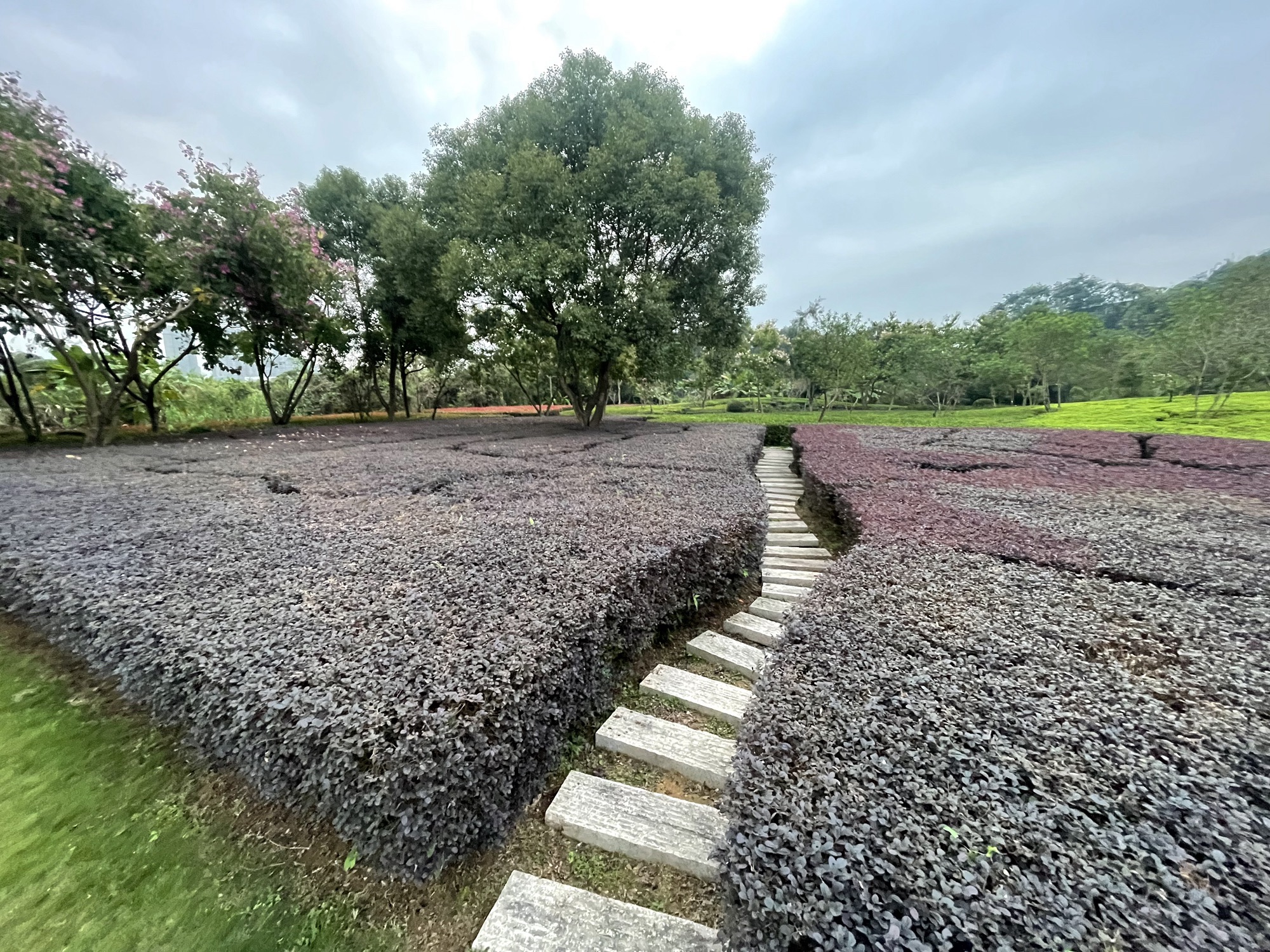 南岸公园旅行图片 2
