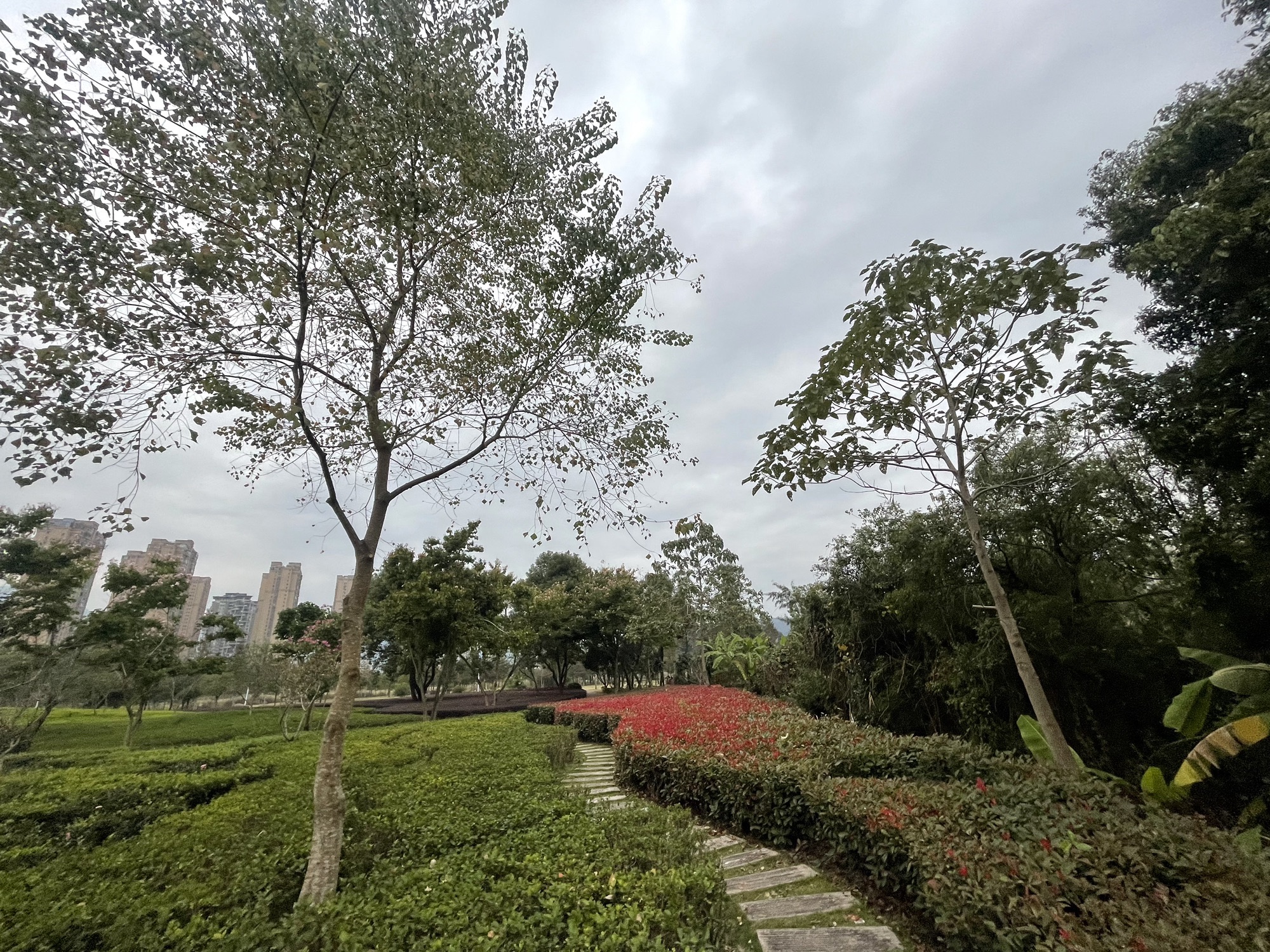 南岸公园旅行图片 3