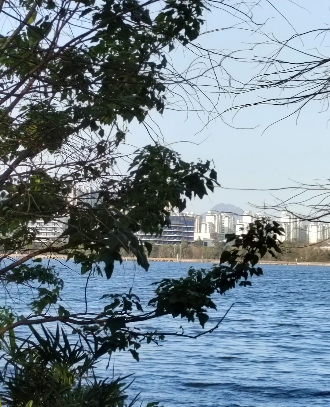 南岸公园旅行图片 1